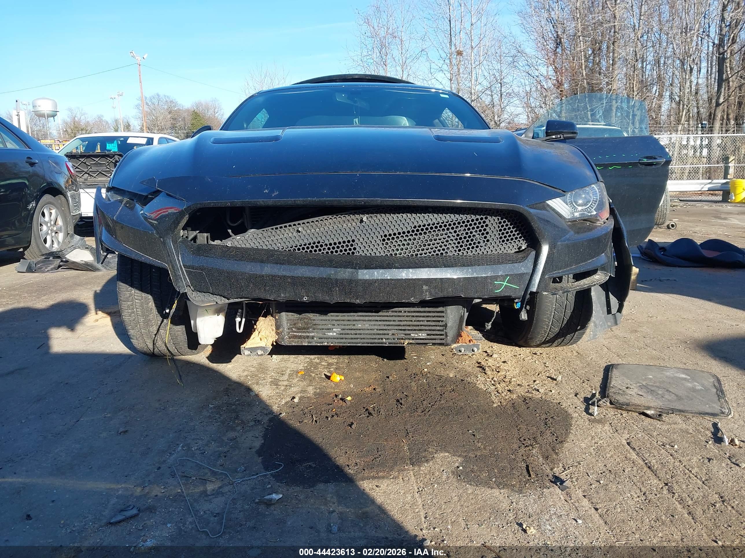 FORD MUSTANG image 6