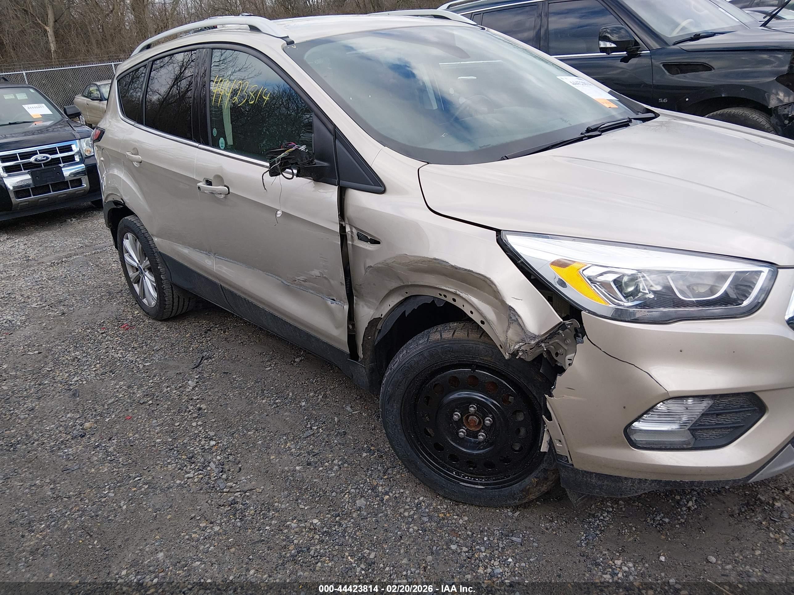 FORD ESCAPE image 6