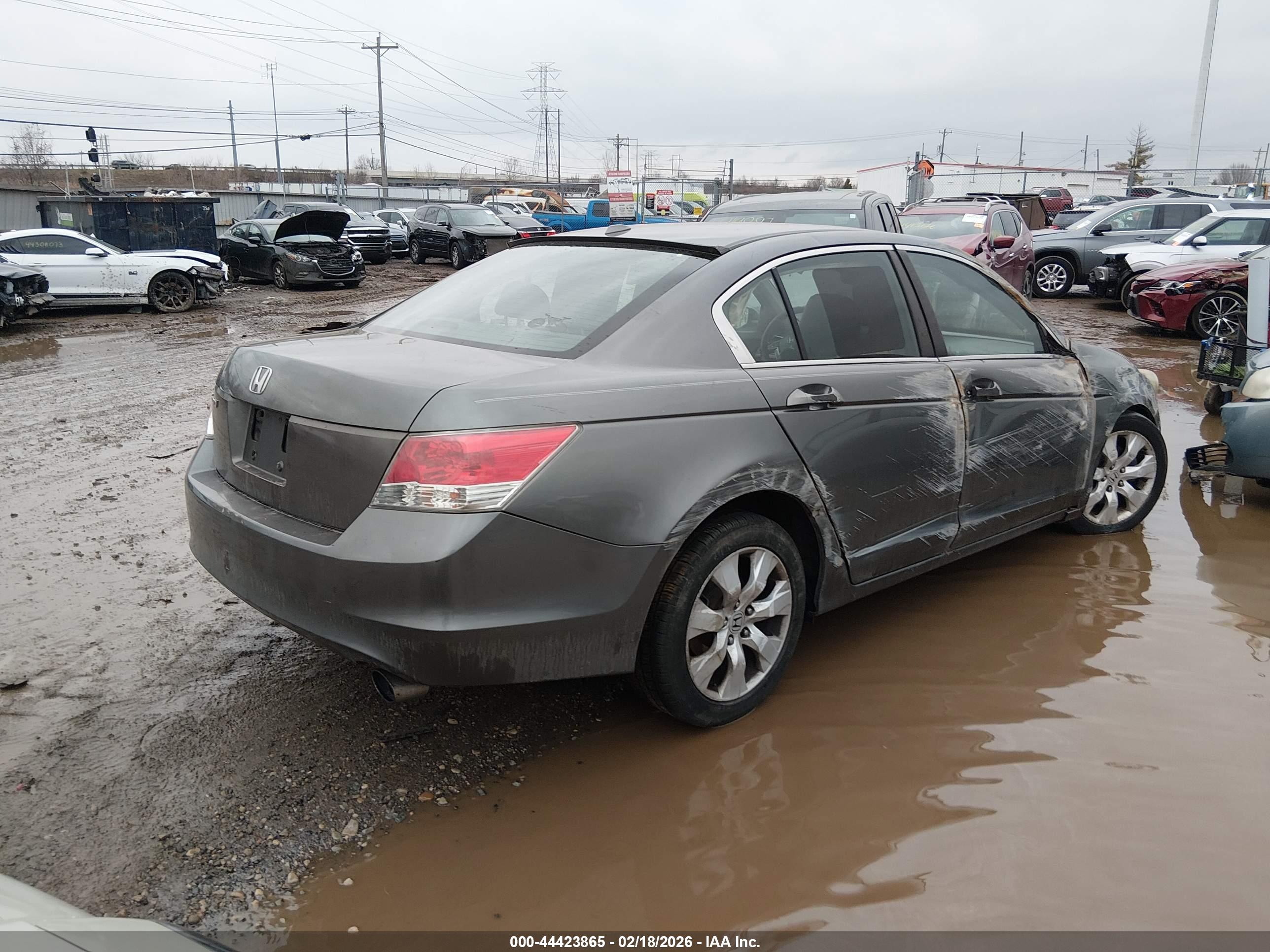HONDA ACCORD image 4