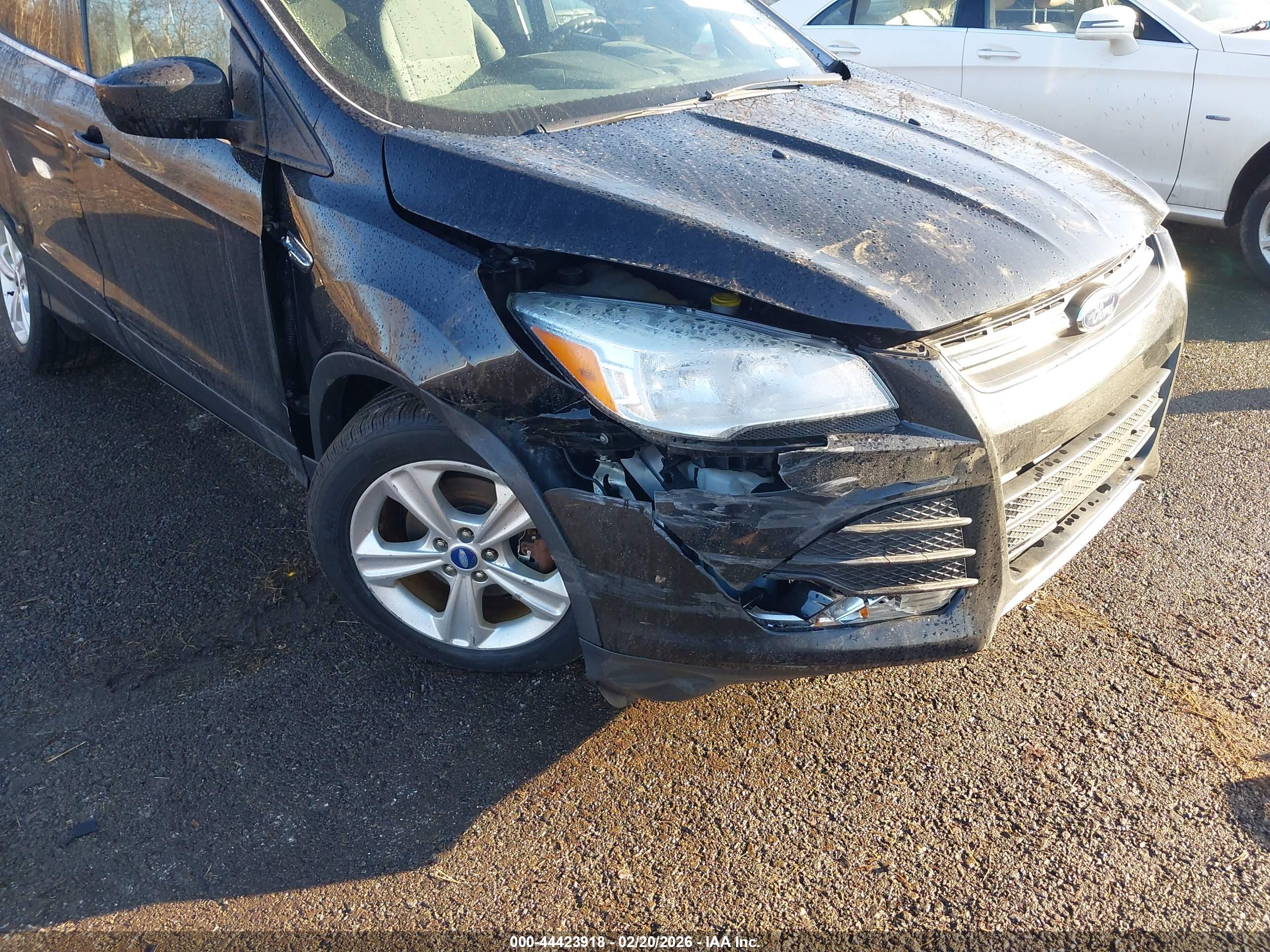 FORD ESCAPE image 6