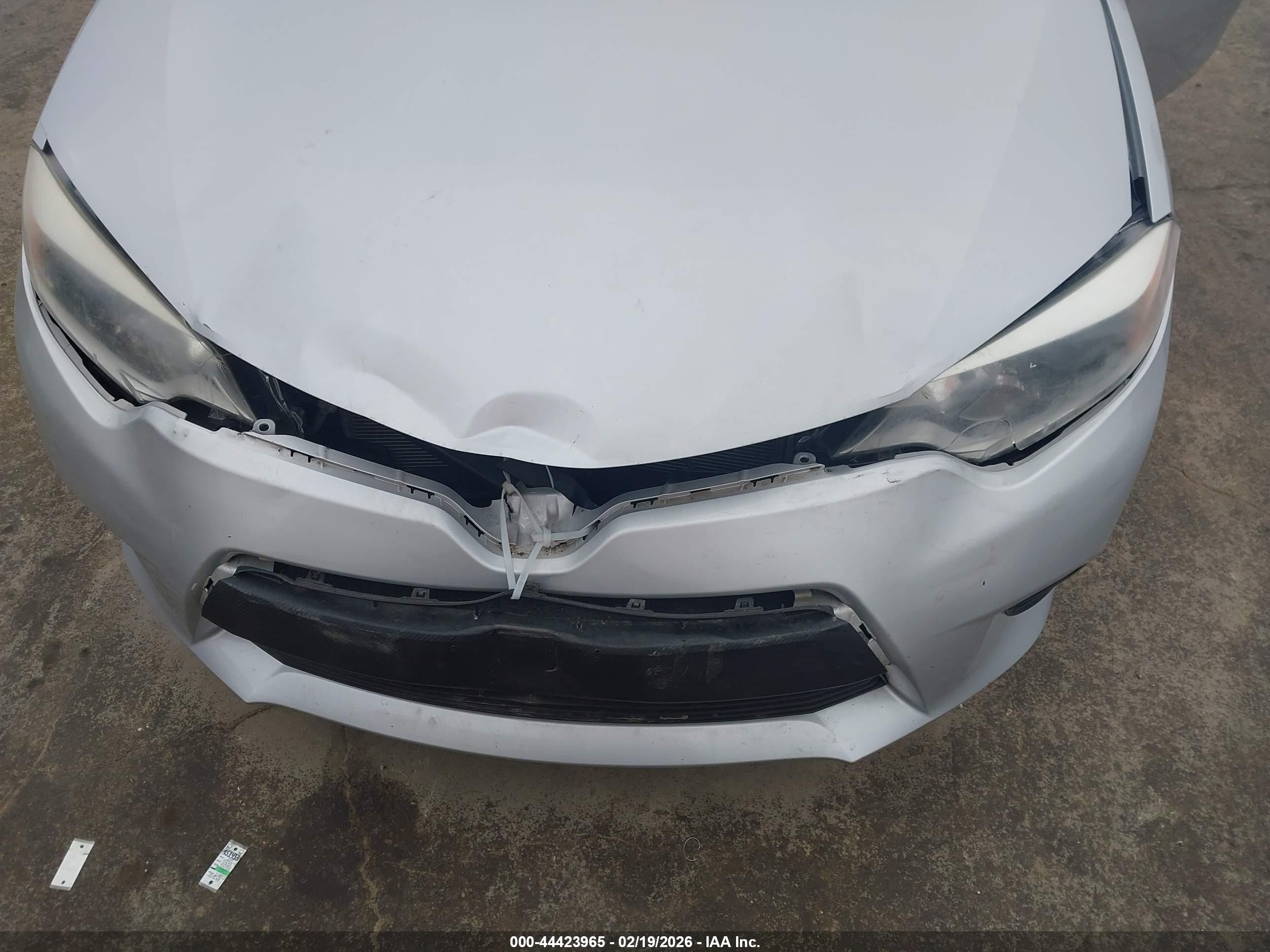 TOYOTA COROLLA image 6