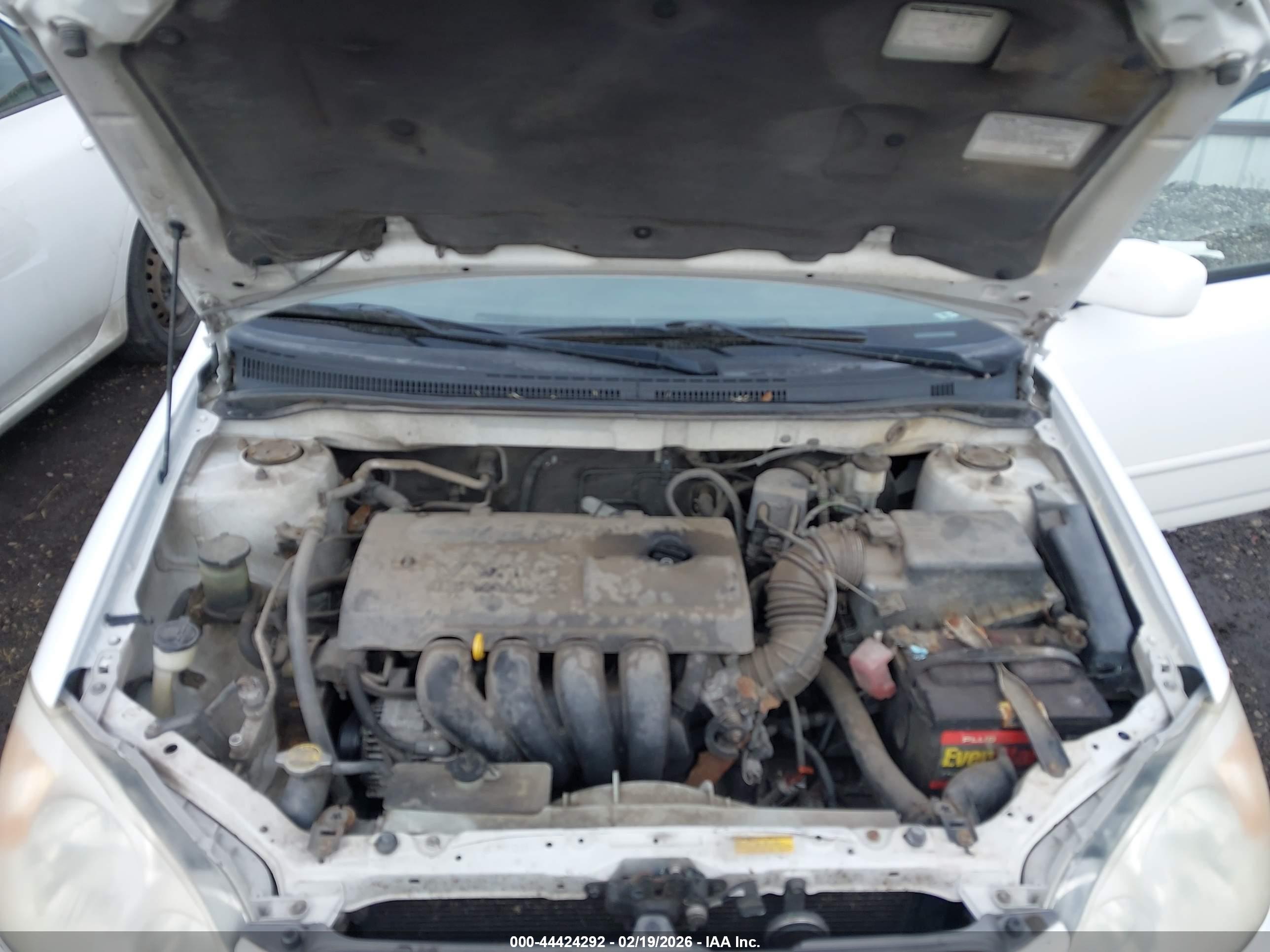 TOYOTA COROLLA image 10