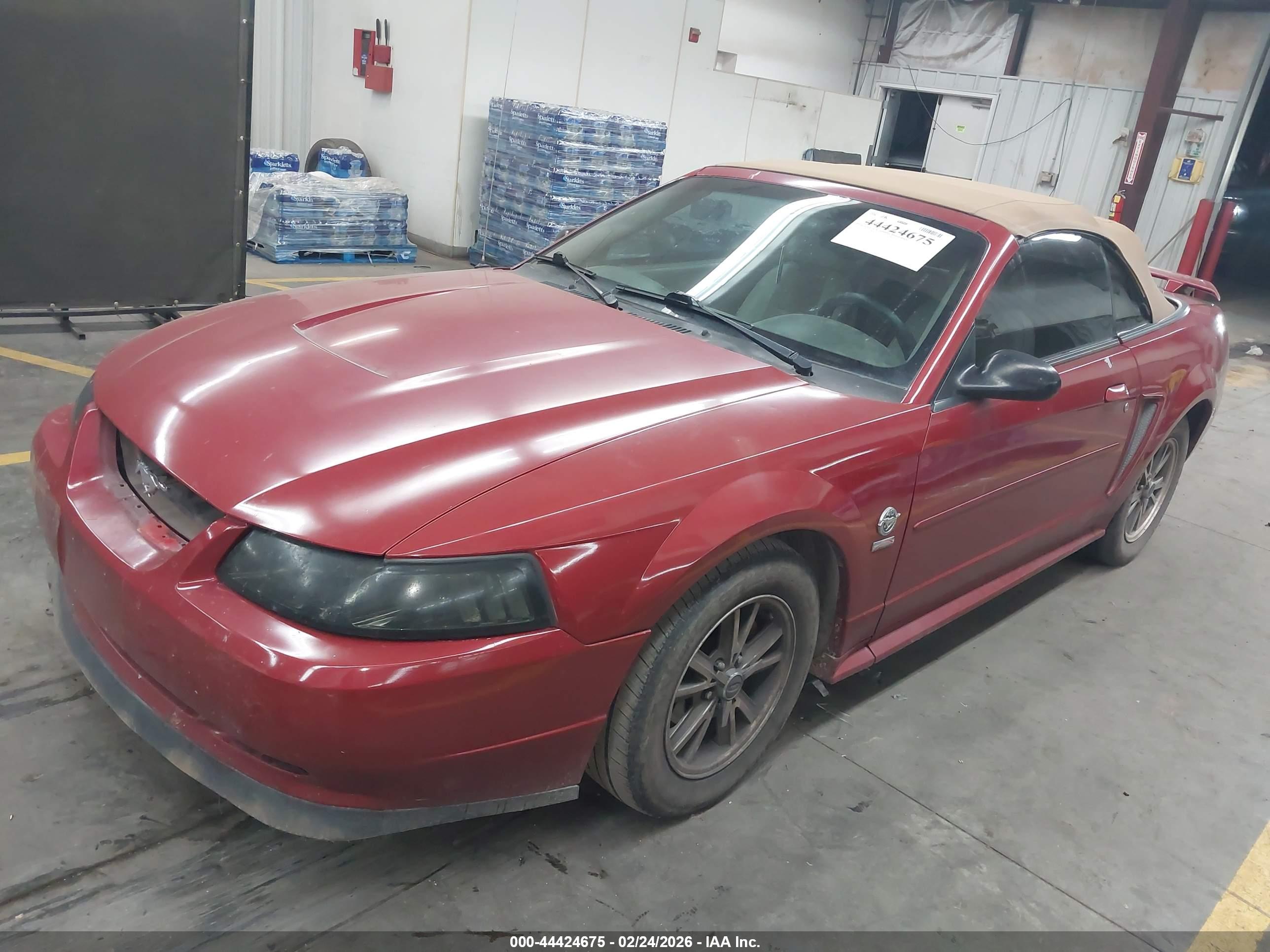 FORD MUSTANG image 2