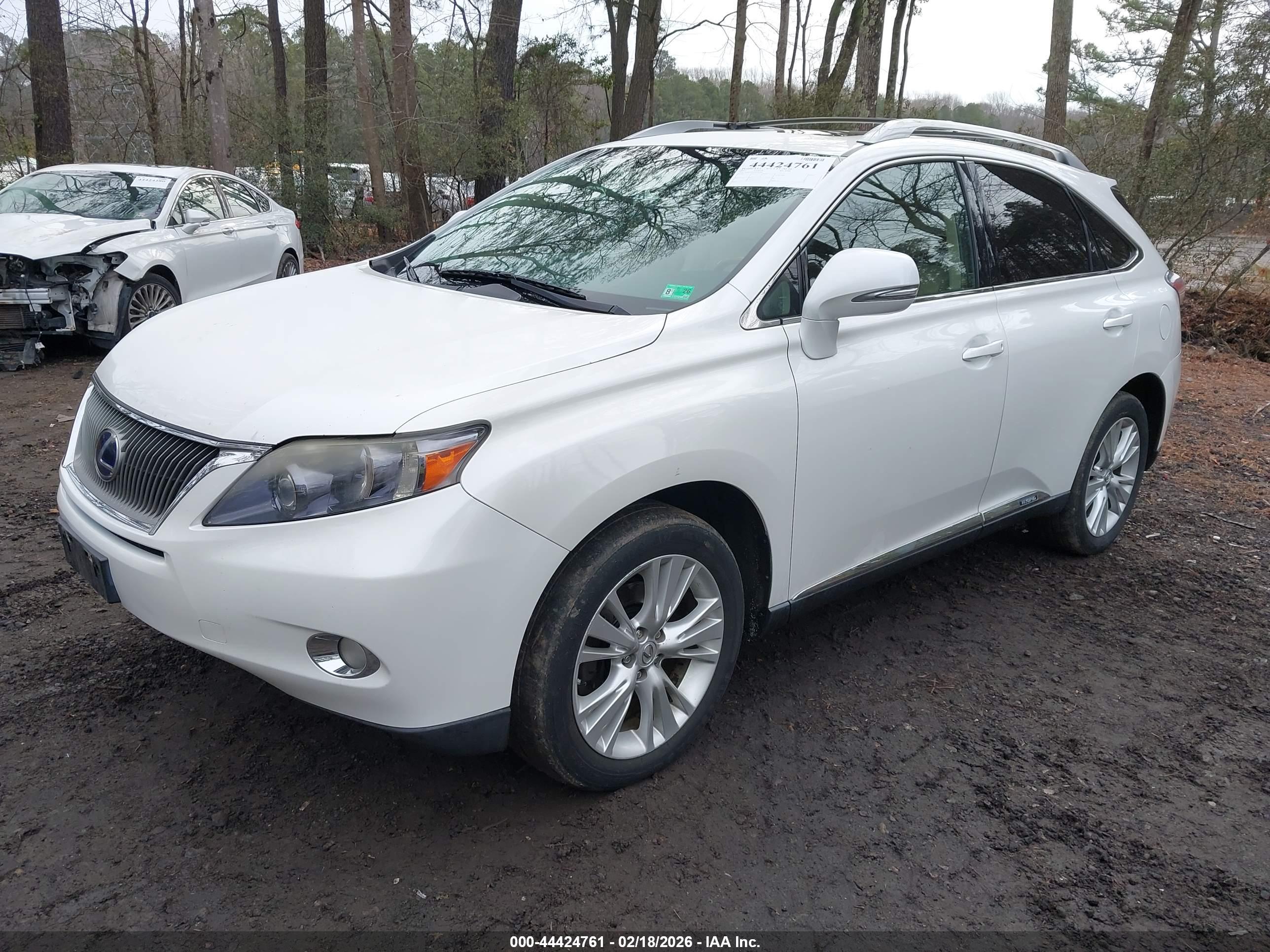 LEXUS RX image 2