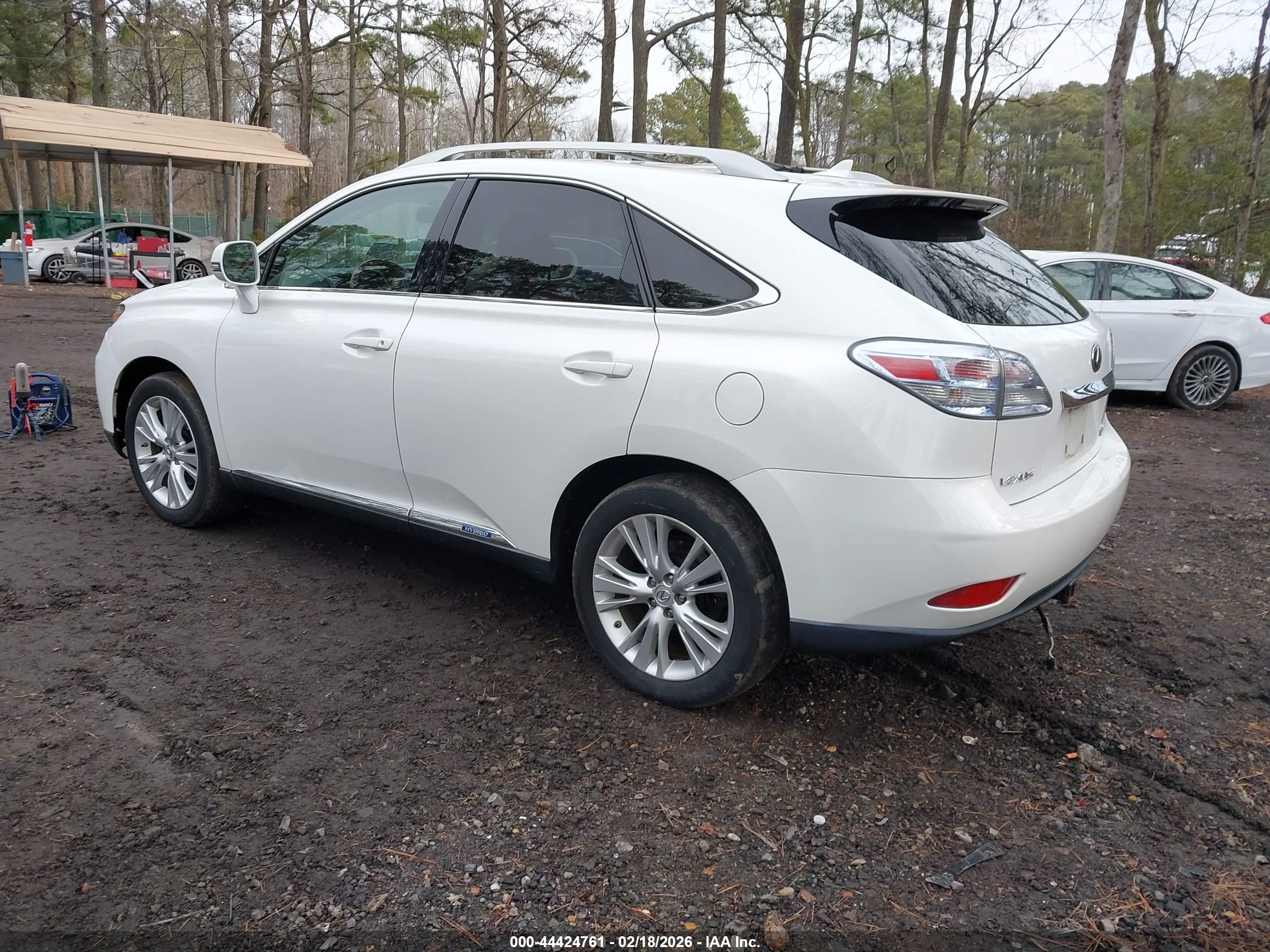 LEXUS RX image 3