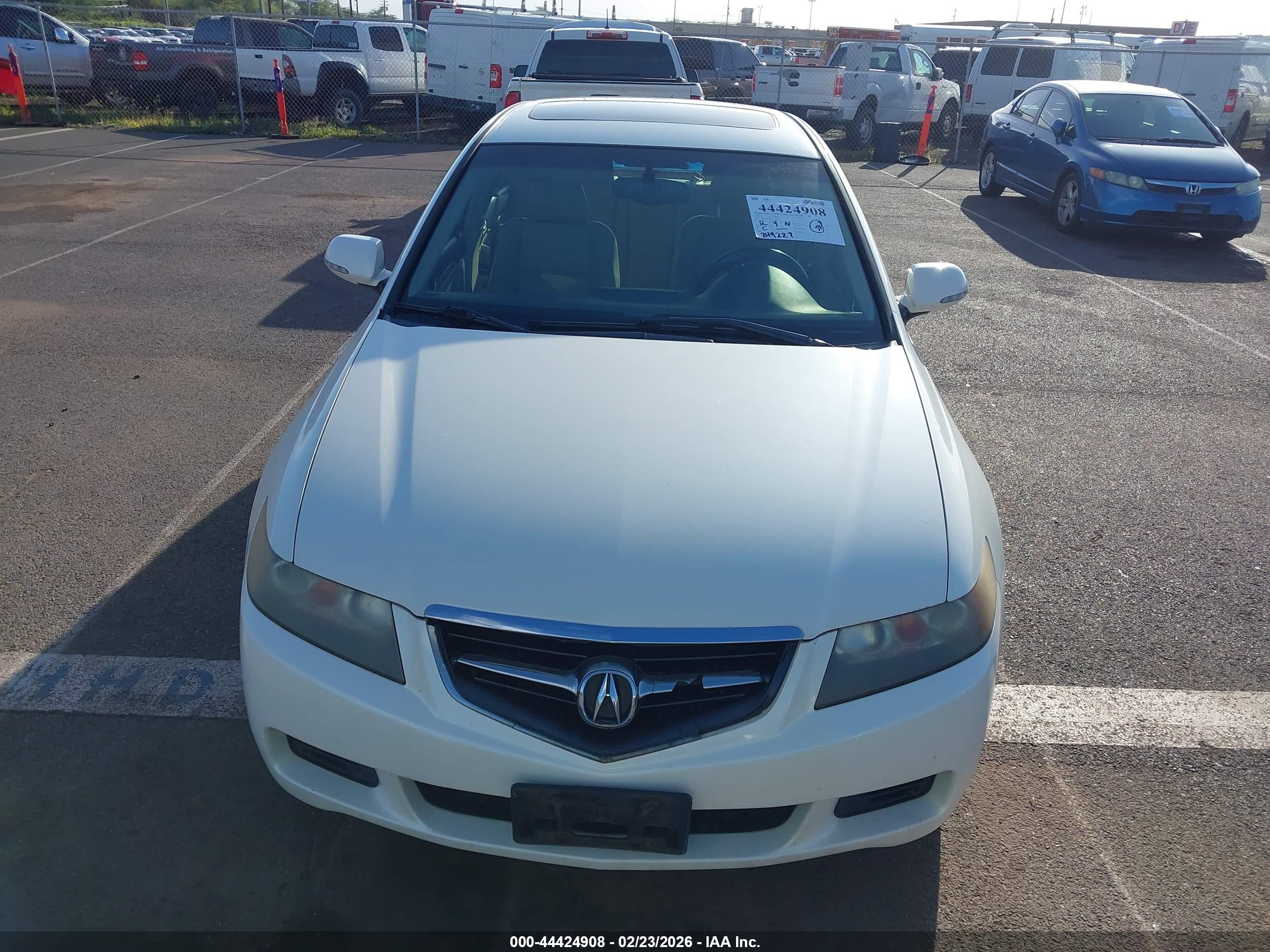 ACURA TSX image 6