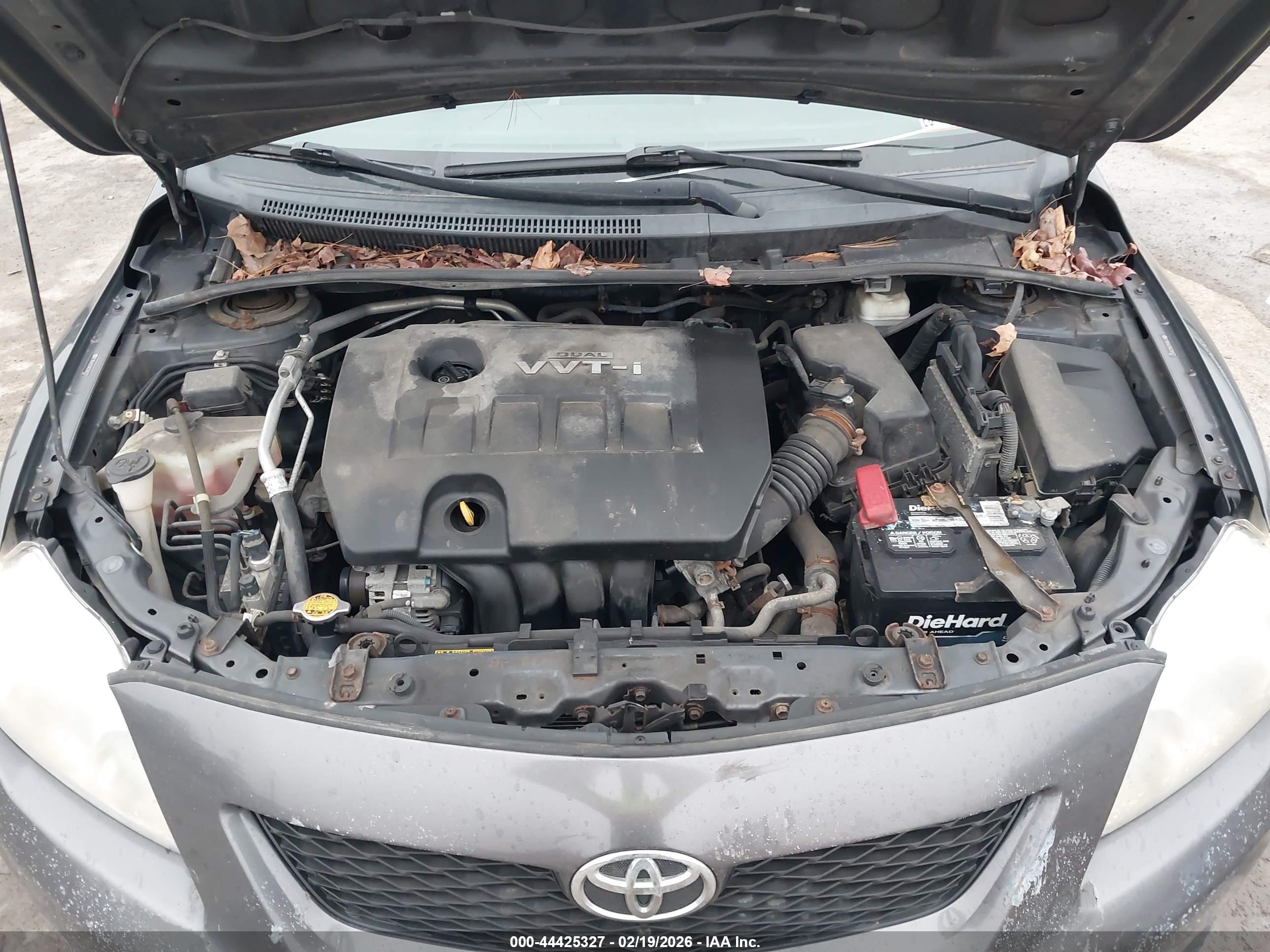 TOYOTA COROLLA image 10
