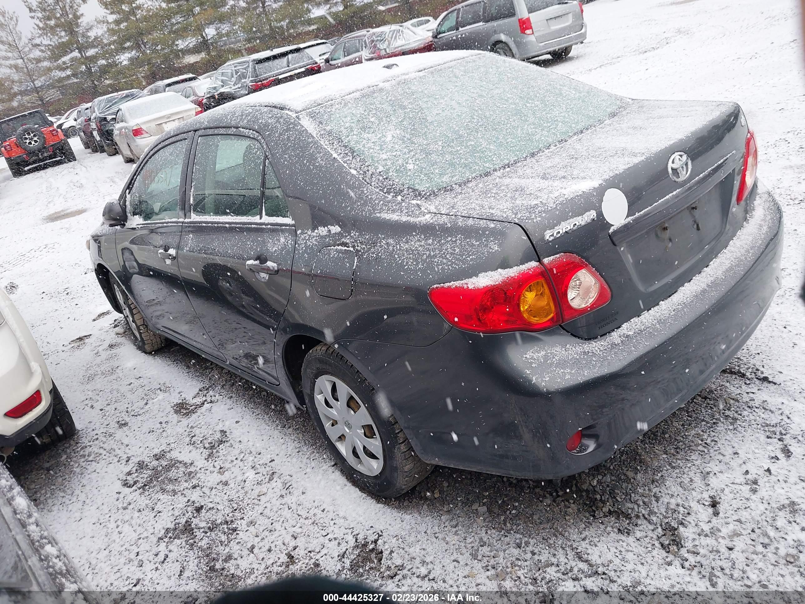 TOYOTA COROLLA image 3