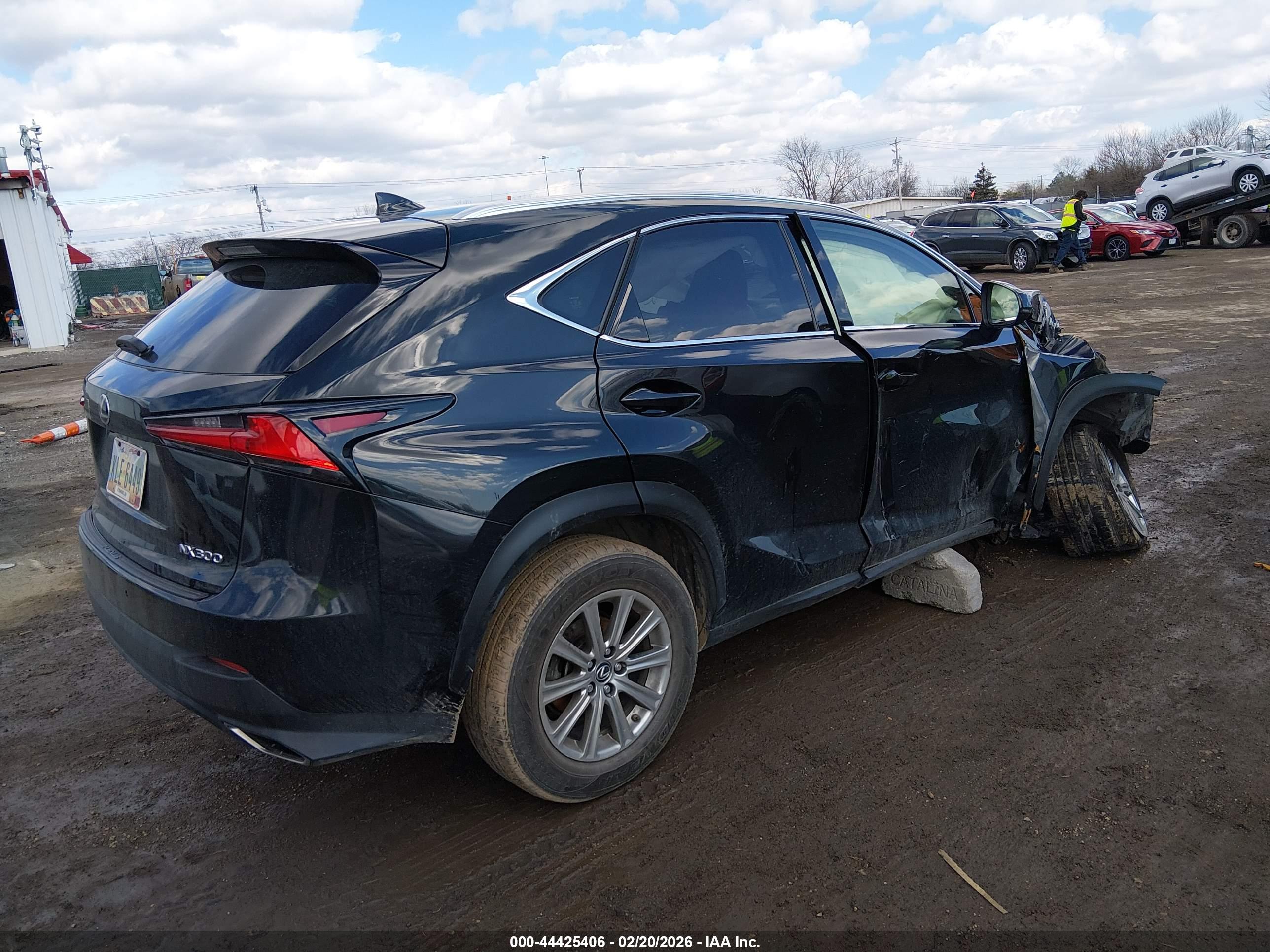 LEXUS NX image 4
