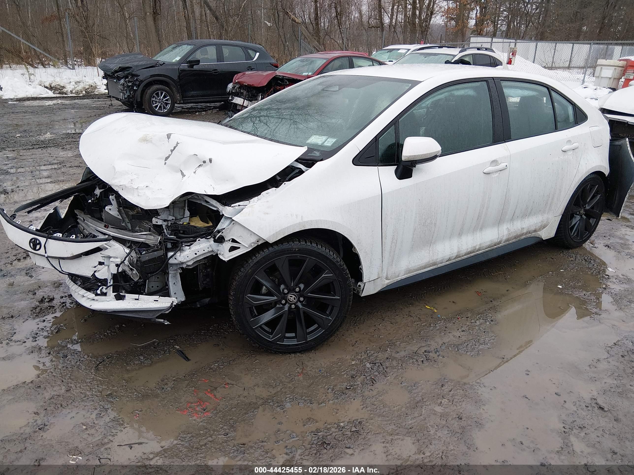 TOYOTA COROLLA image 2
