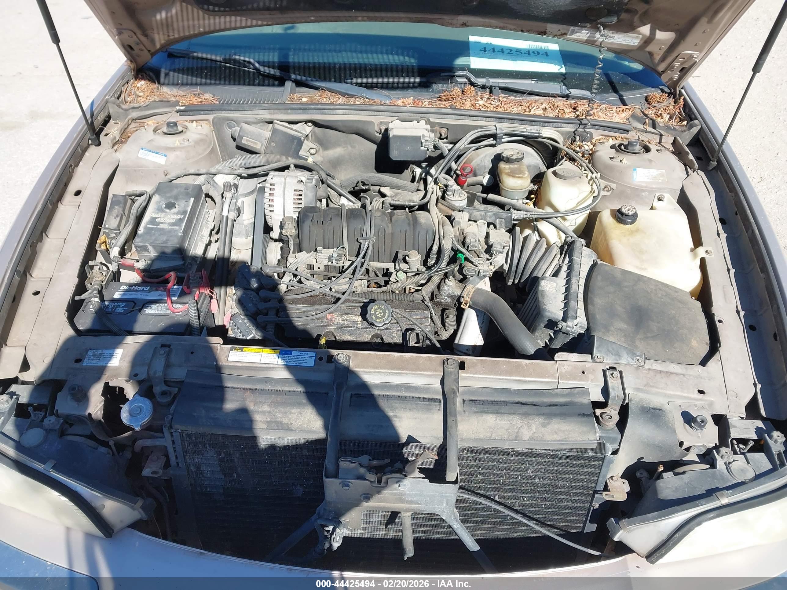 BUICK PARK image 10