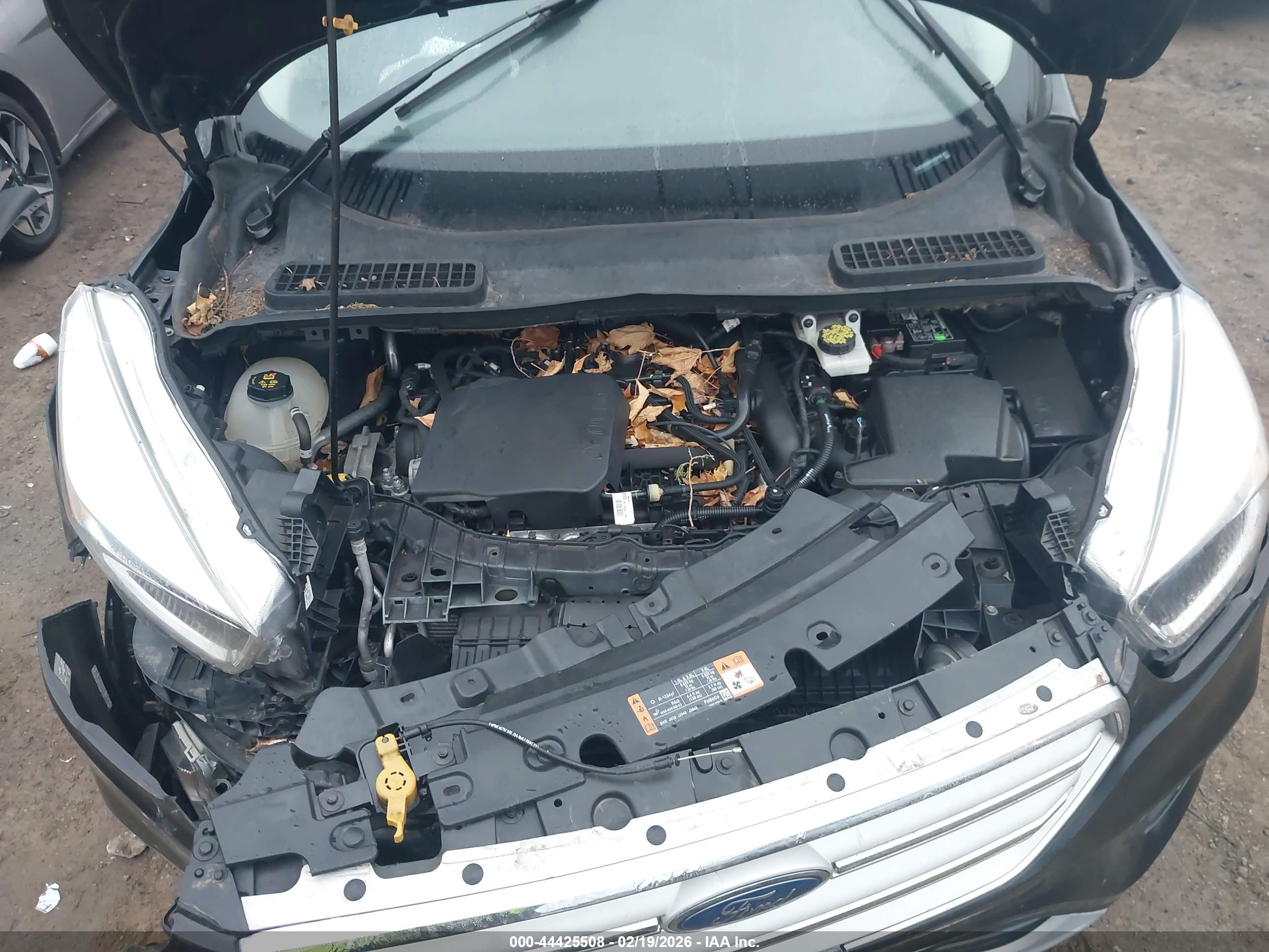 FORD ESCAPE image 10