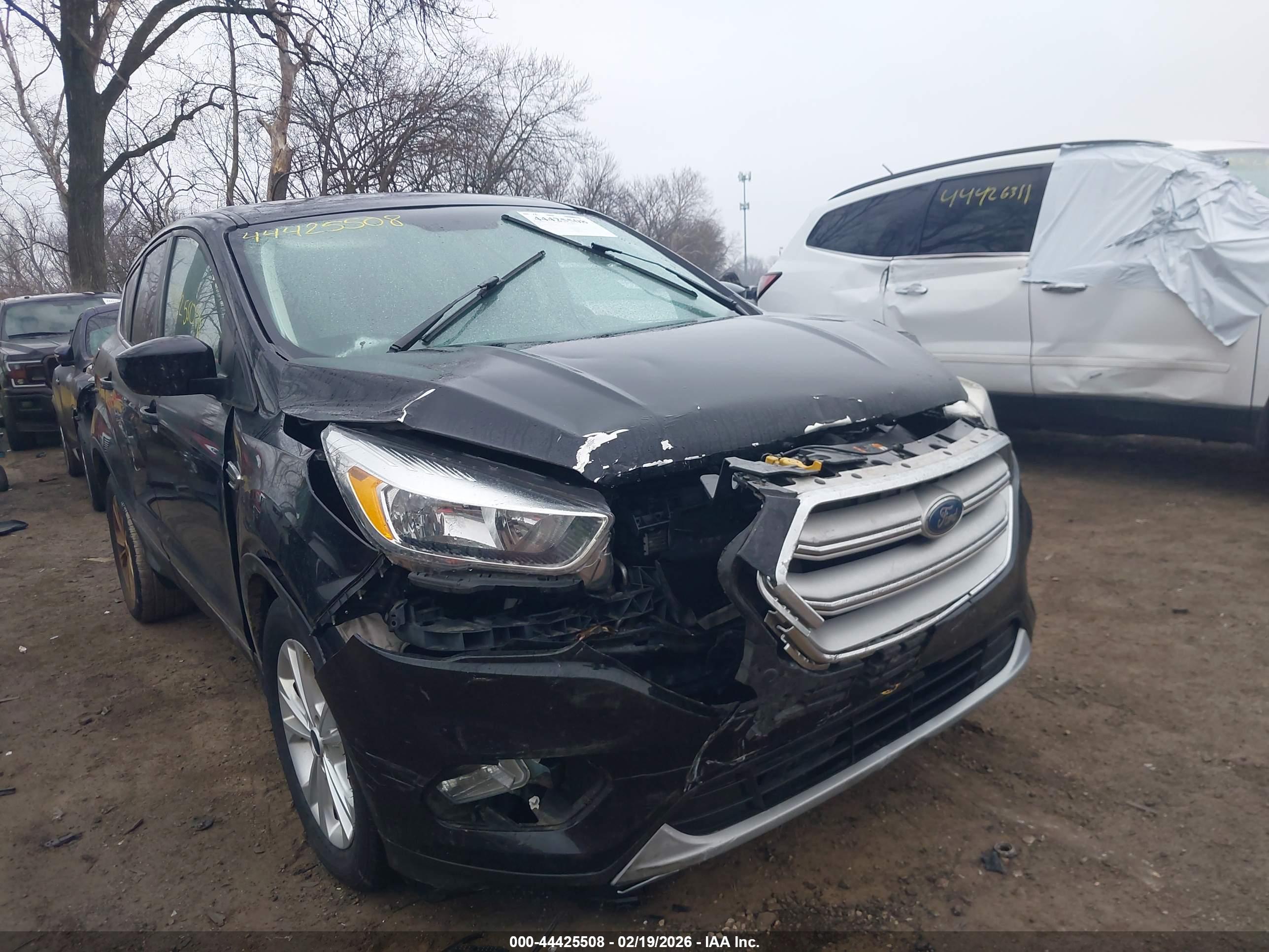 FORD ESCAPE image 6