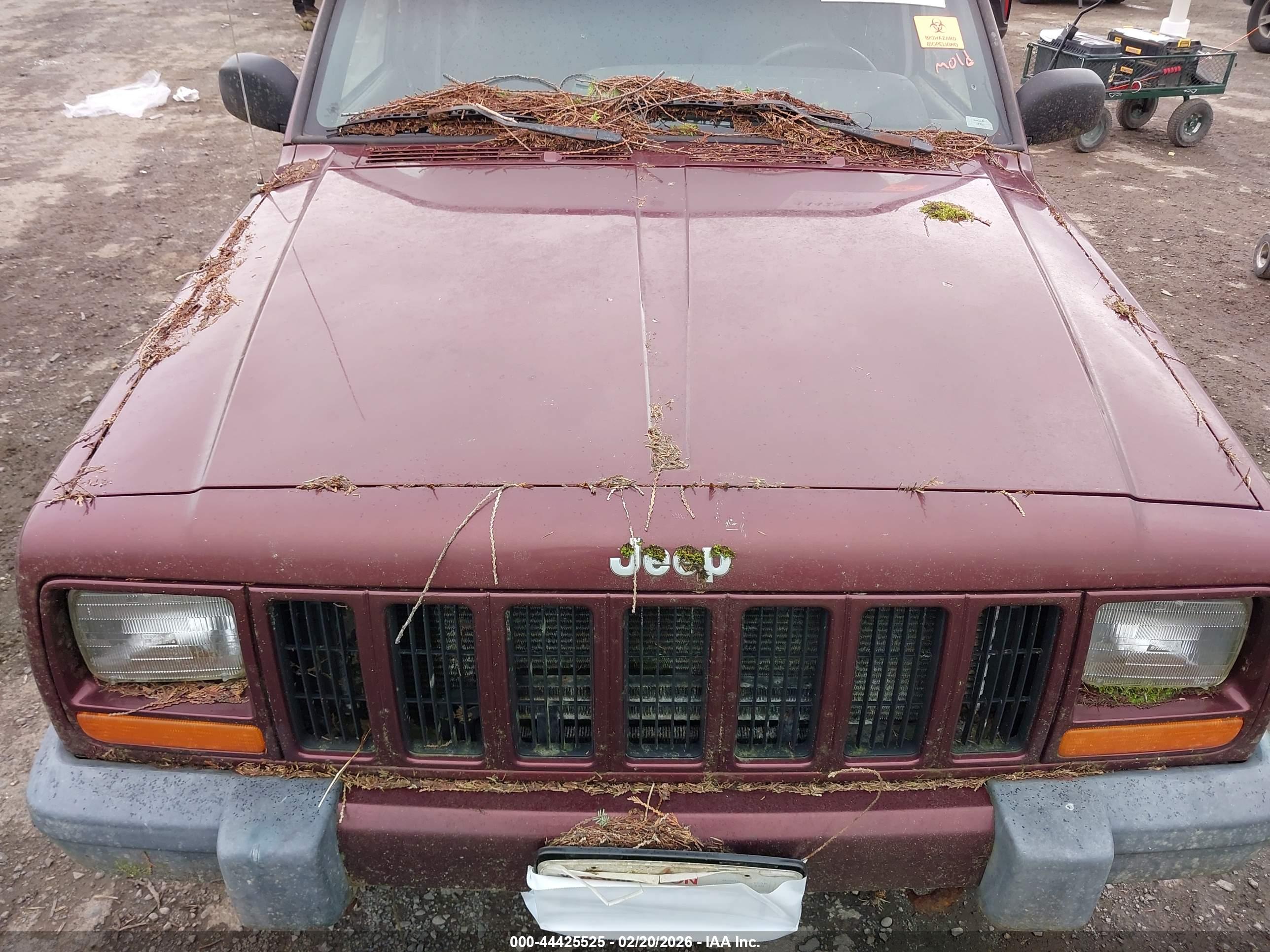 JEEP CHEROKEE image 10