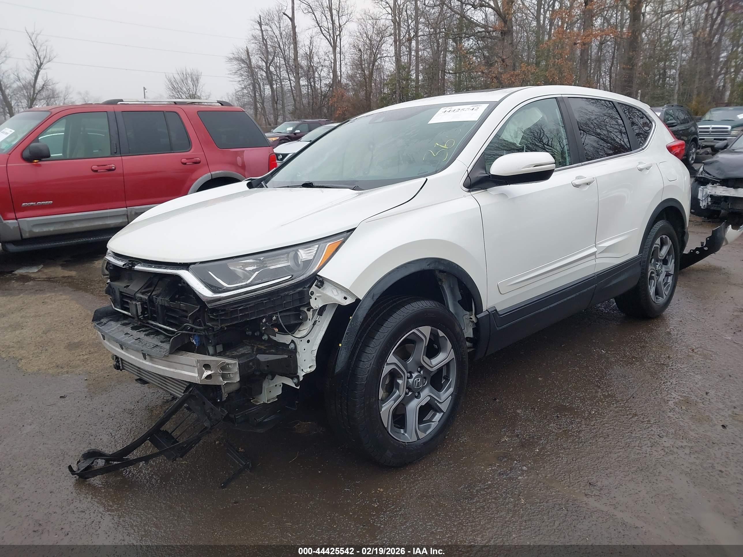 HONDA CR-V image 2