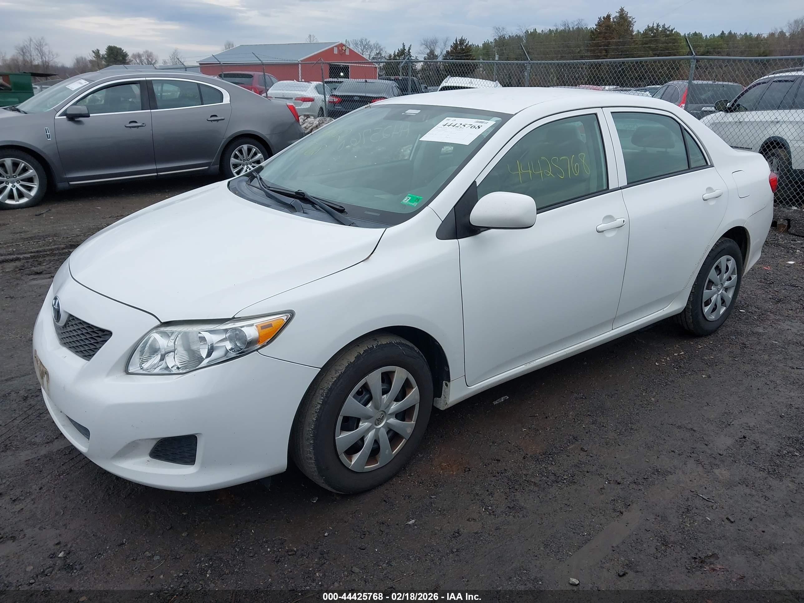 TOYOTA COROLLA image 2