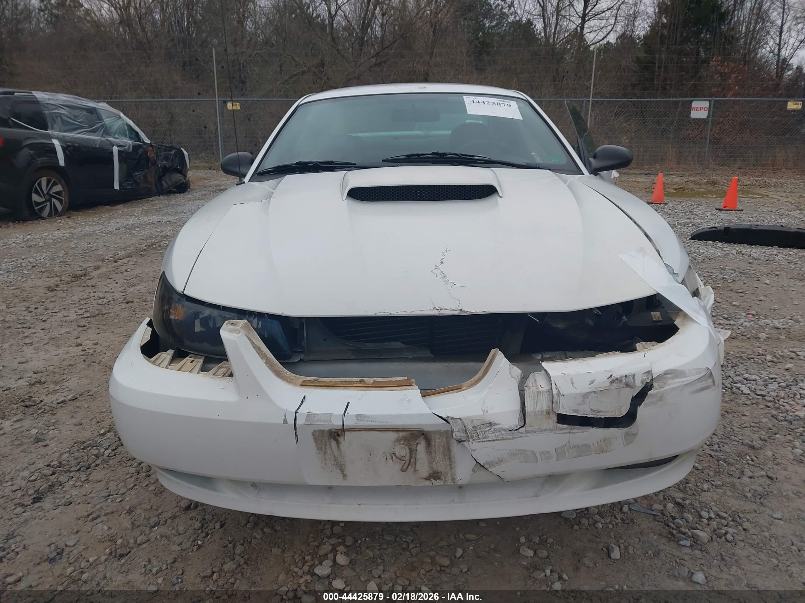 FORD MUSTANG image 6