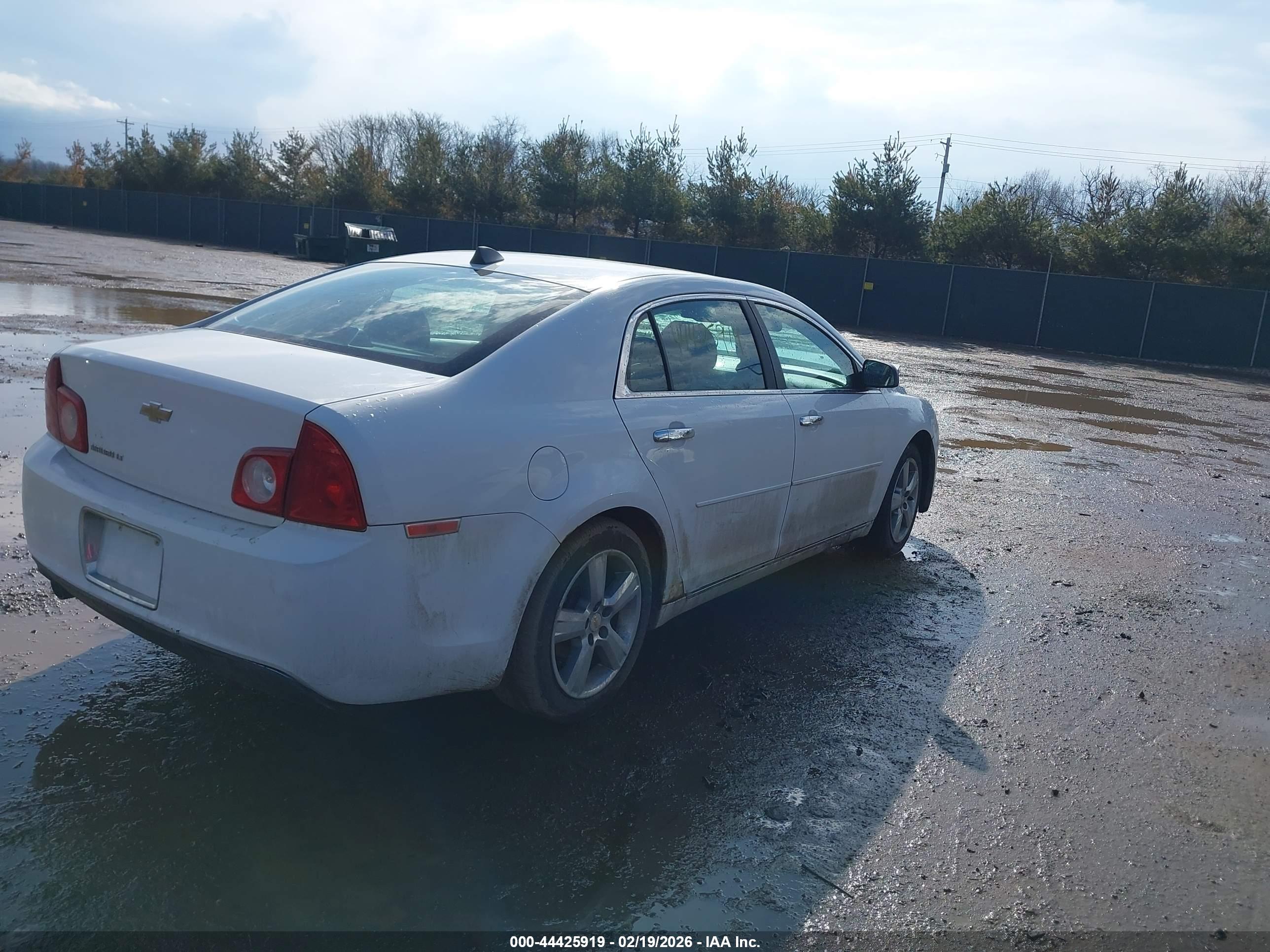 CHEVROLET MALIBU image 4