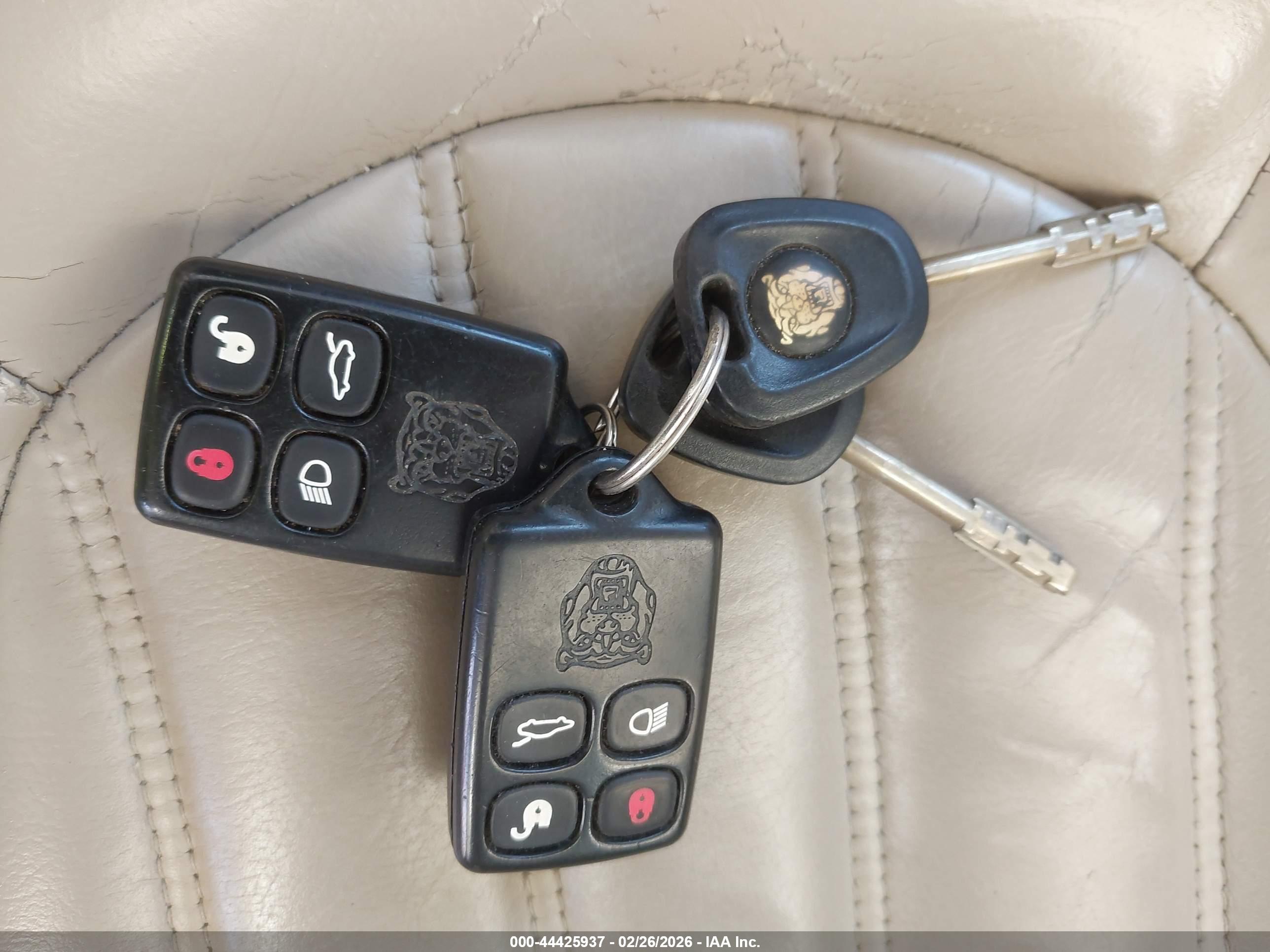 JAGUAR XK8 image 11