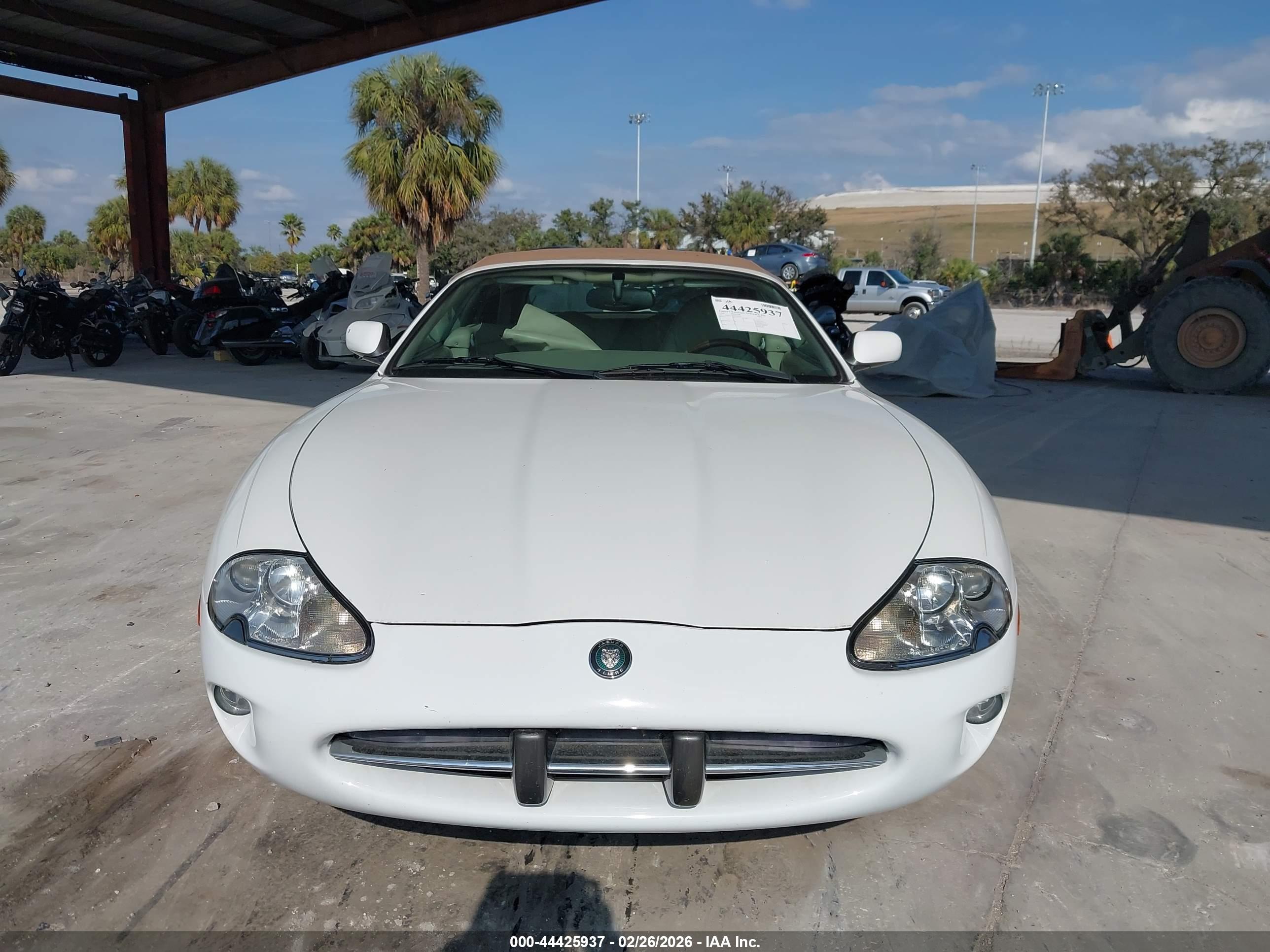JAGUAR XK8 image 6