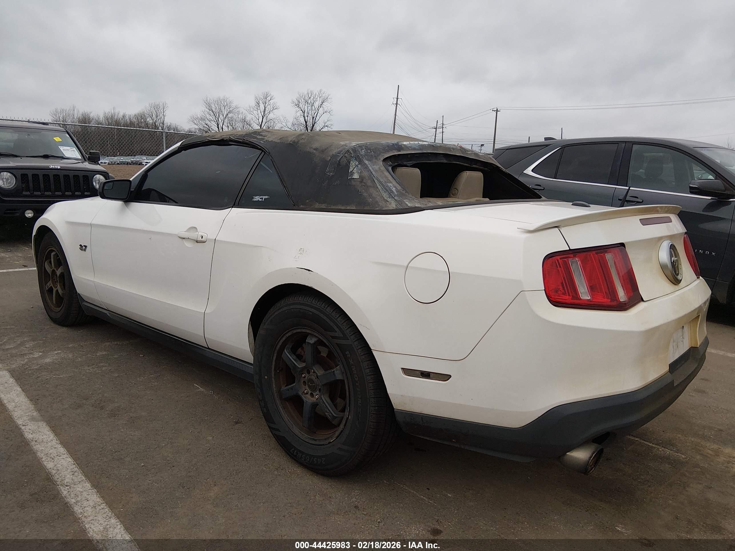 FORD MUSTANG image 3