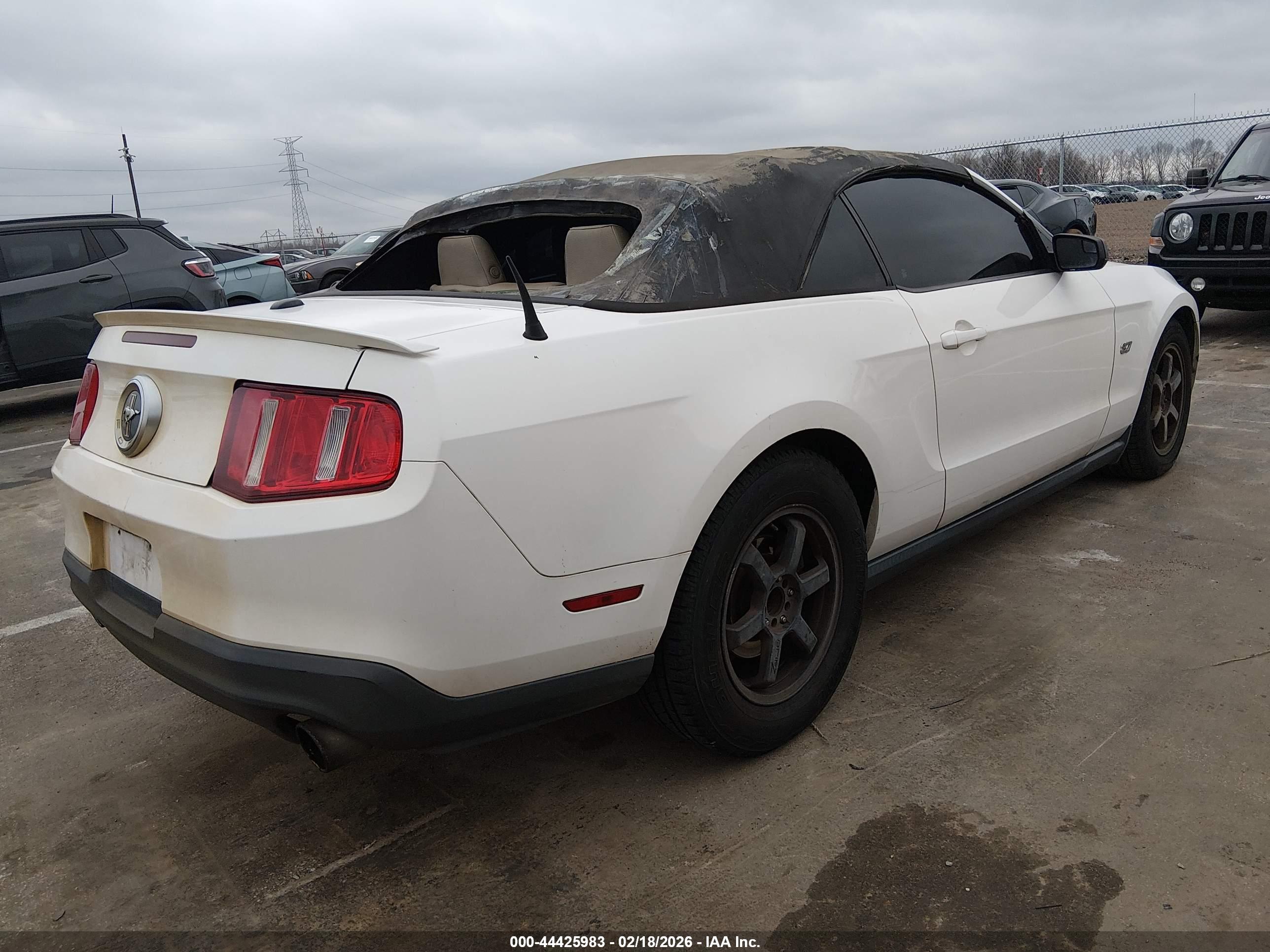 FORD MUSTANG image 4