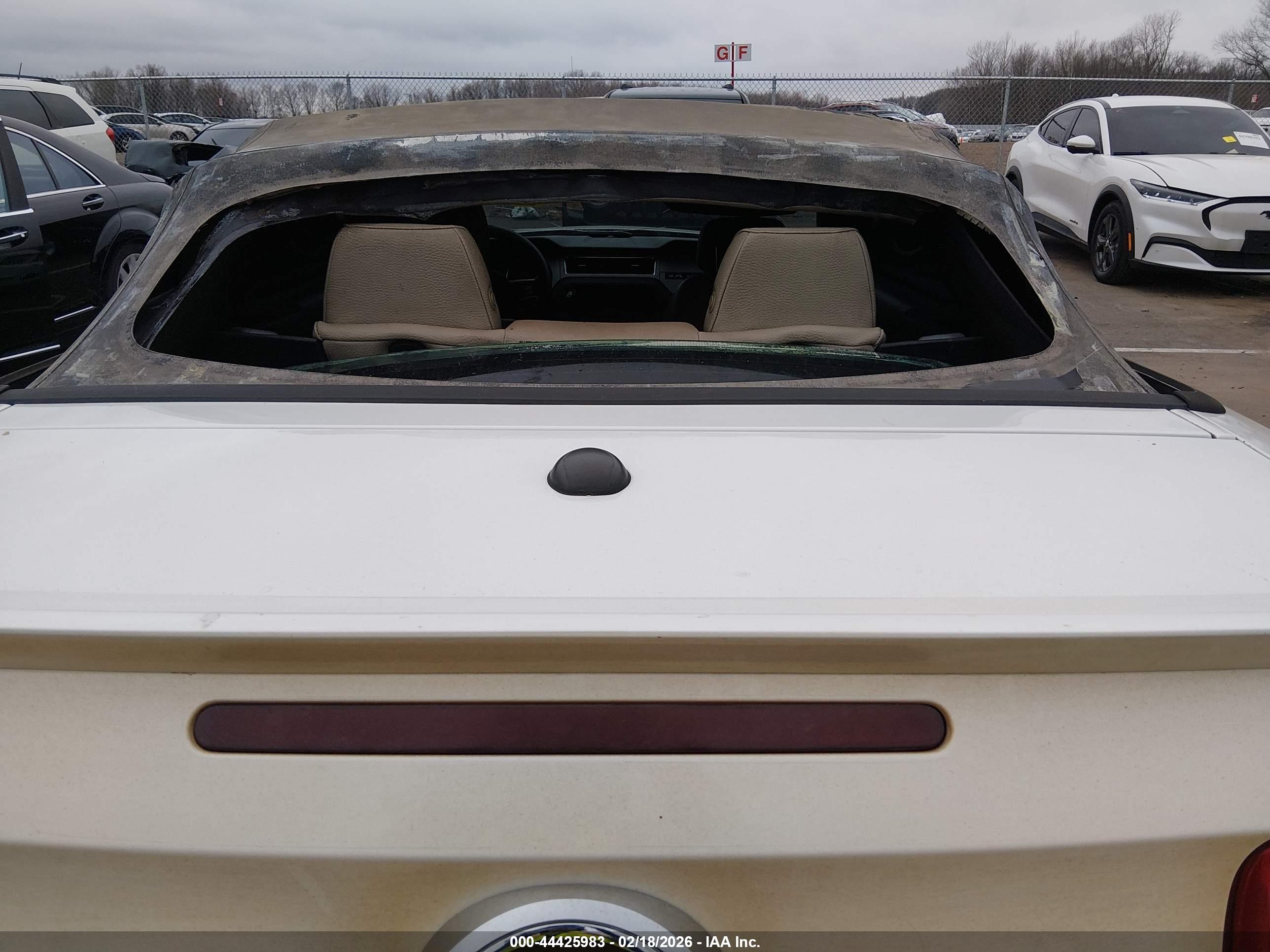 FORD MUSTANG image 6