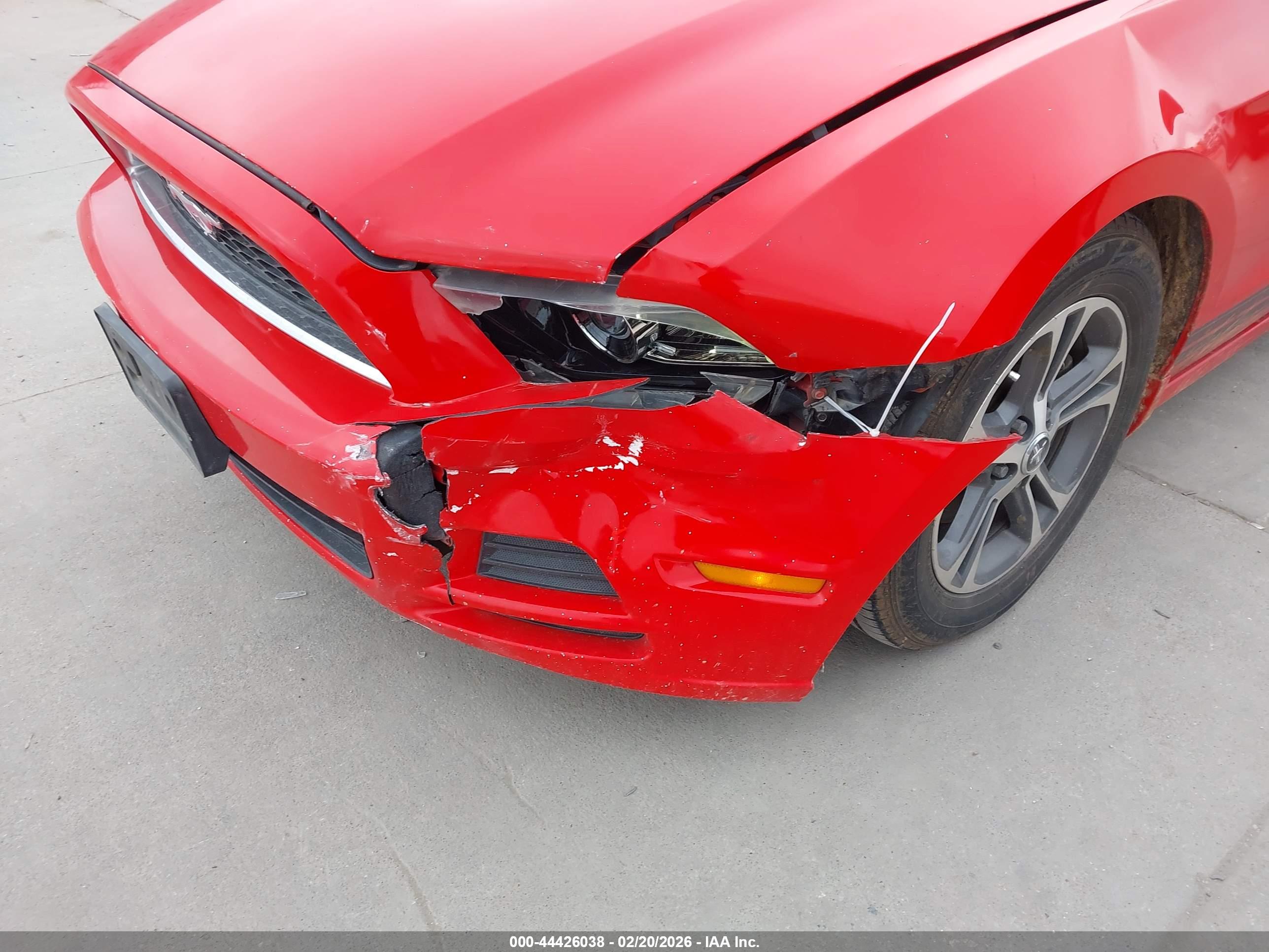 FORD MUSTANG image 6