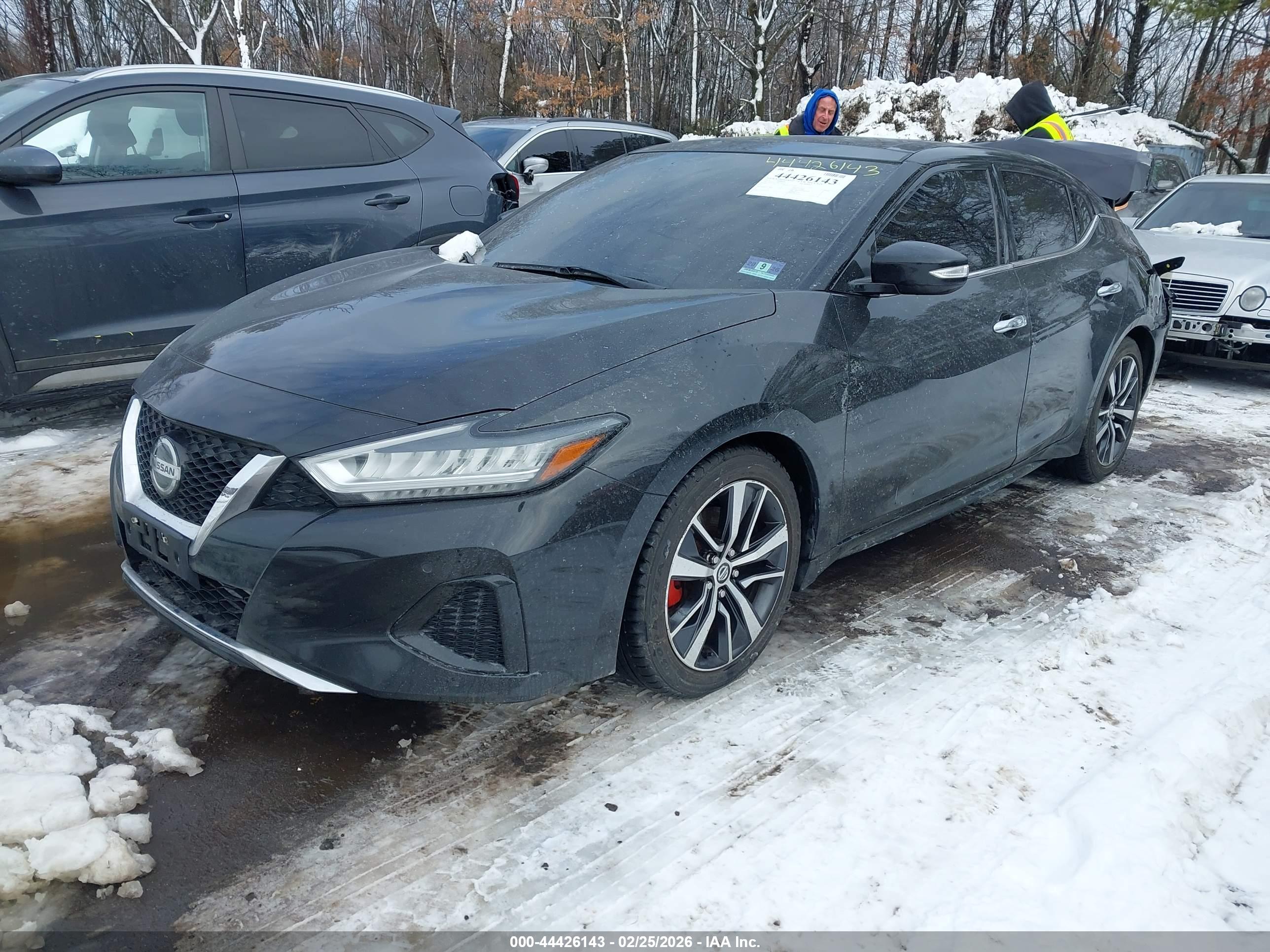 NISSAN MAXIMA image 2