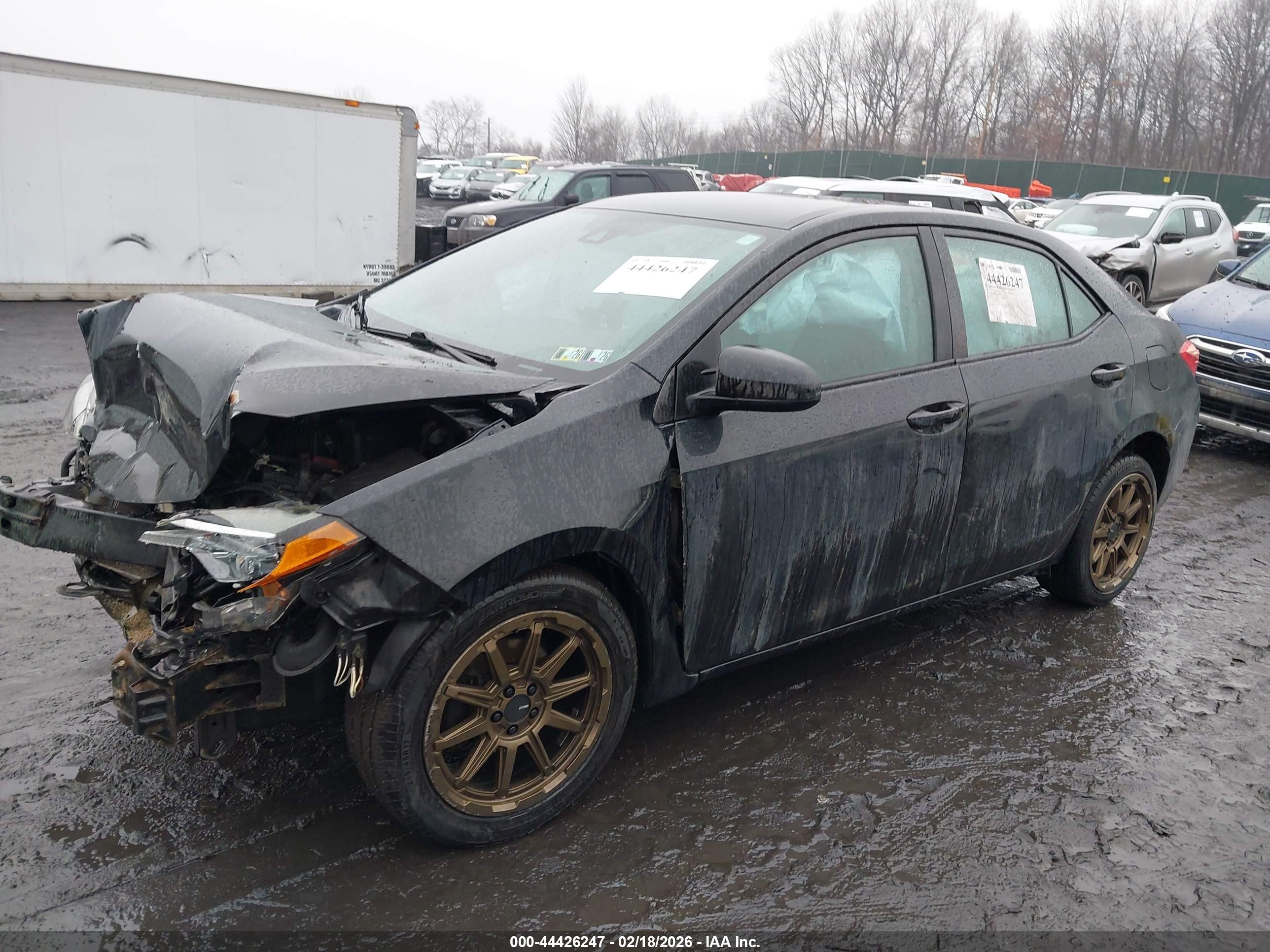 TOYOTA COROLLA image 2
