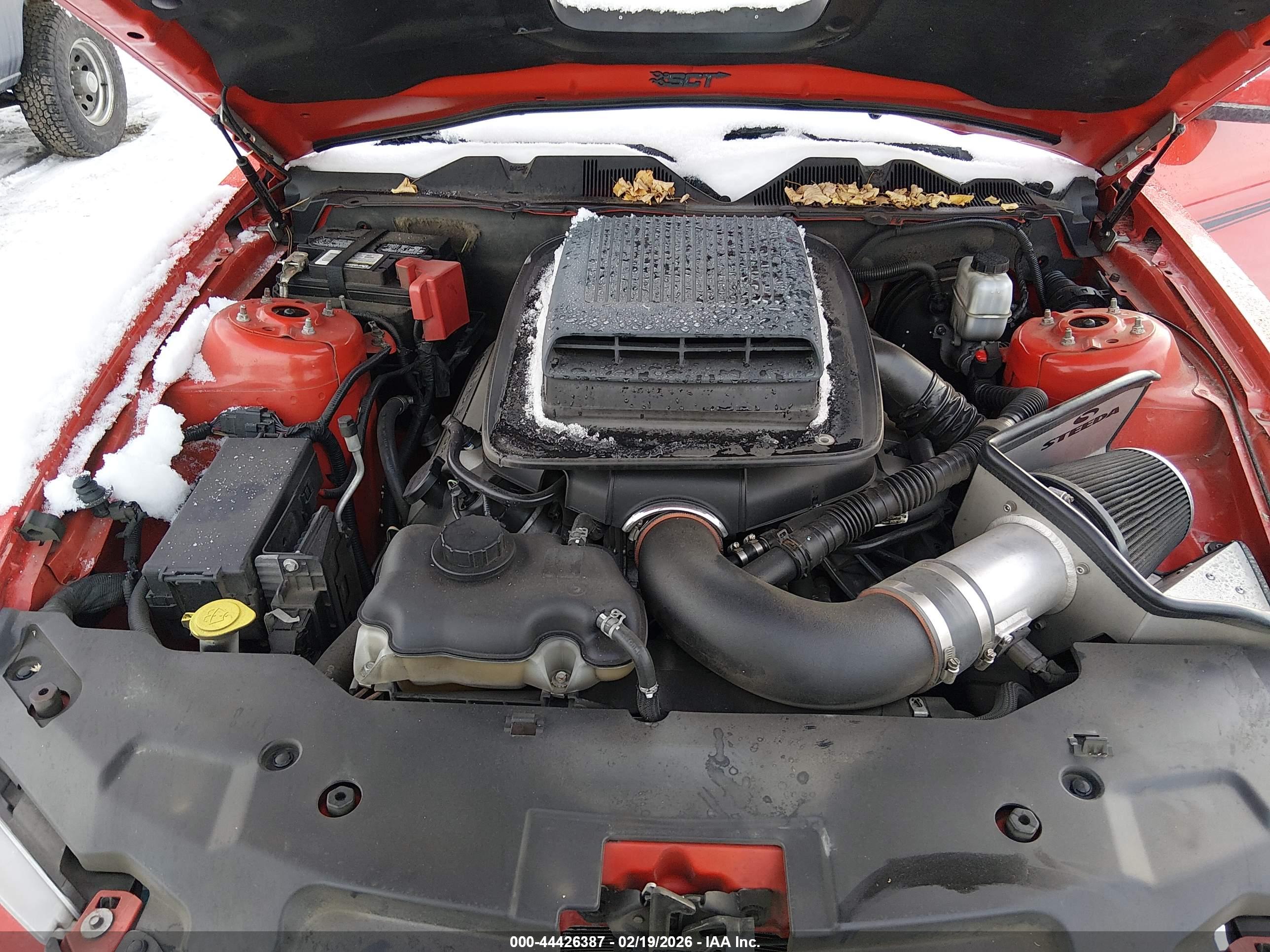 FORD MUSTANG image 10