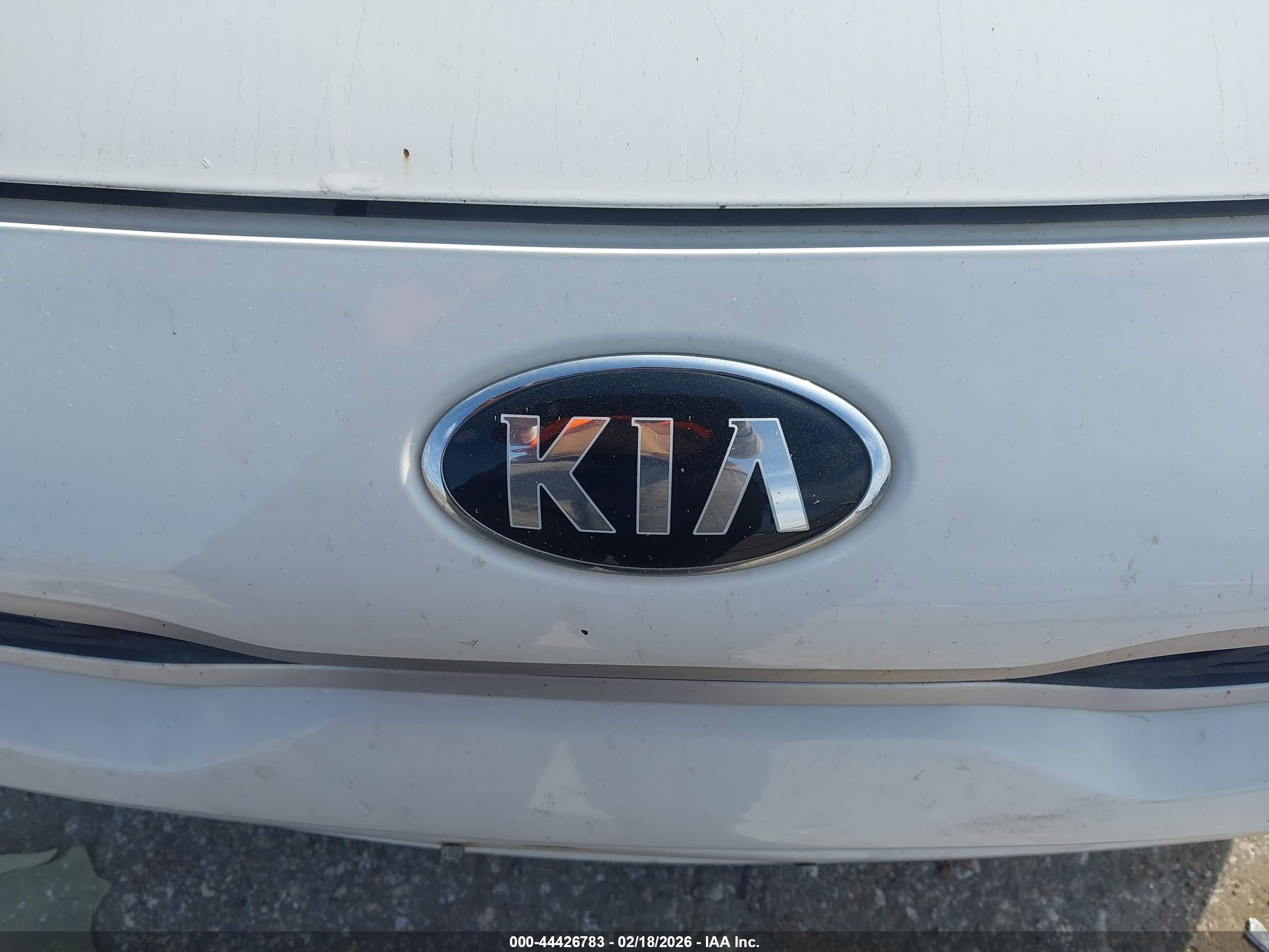 KIA RIO image 6