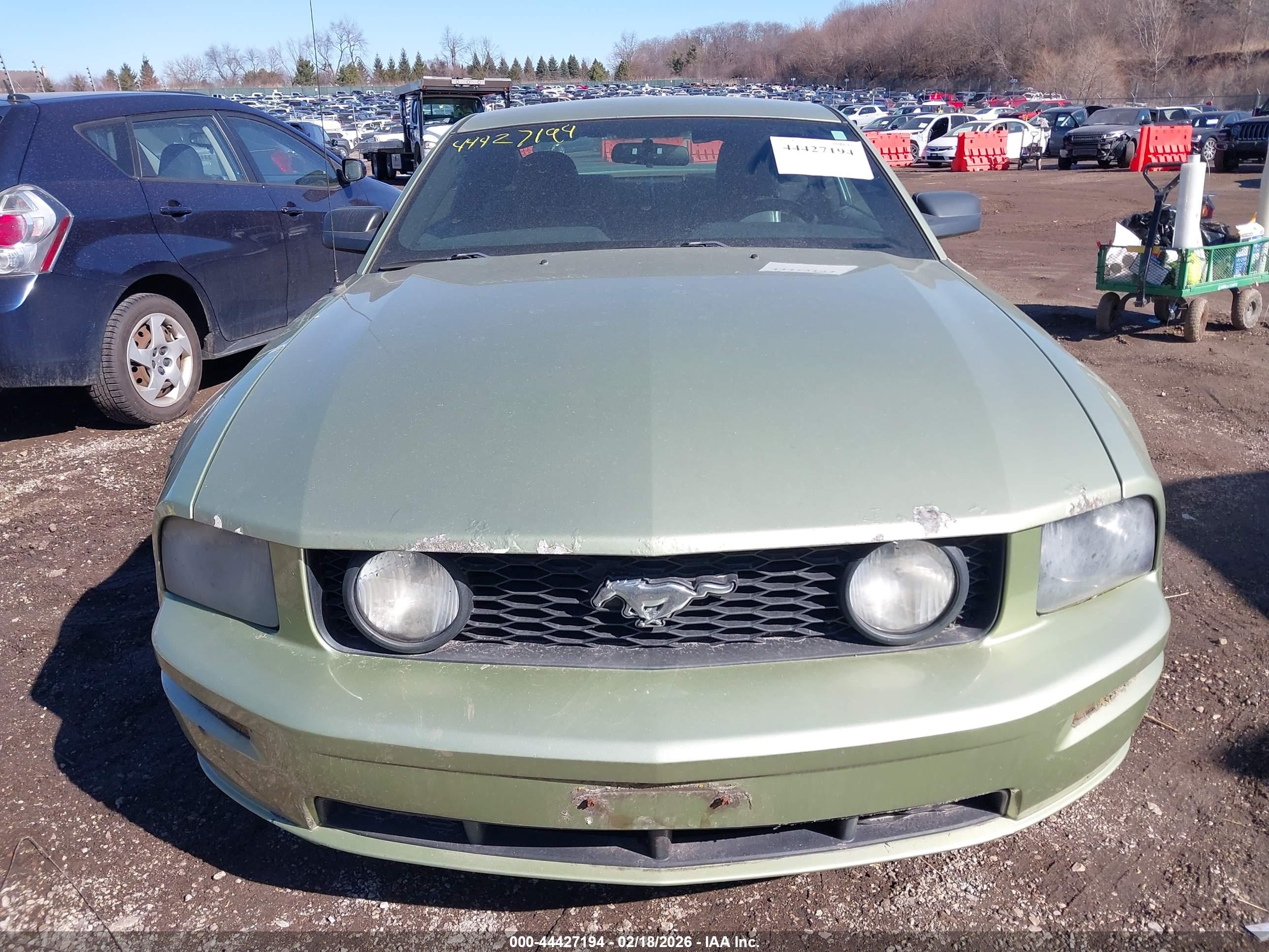 FORD MUSTANG image 6