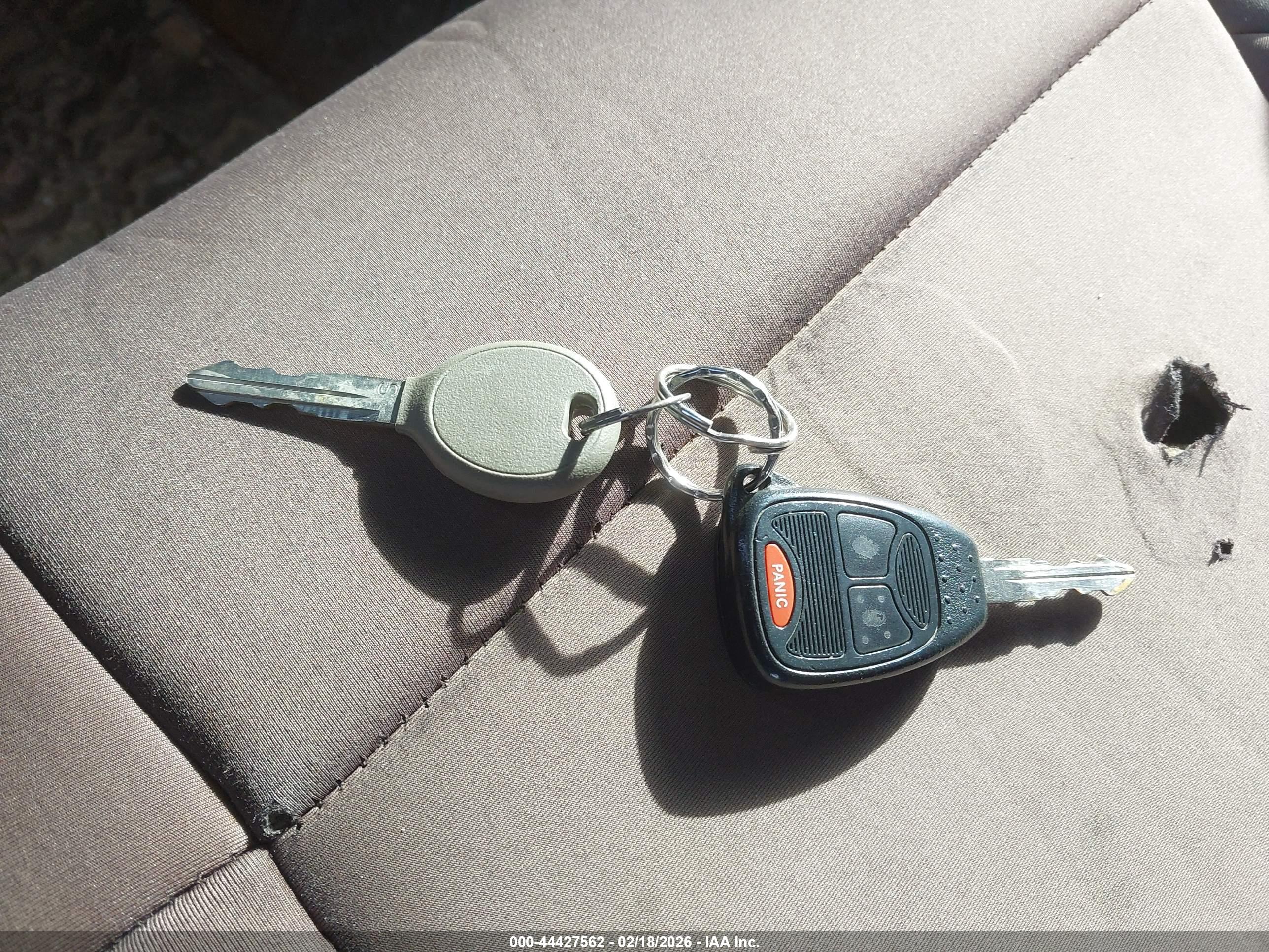 JEEP WRANGLER image 11