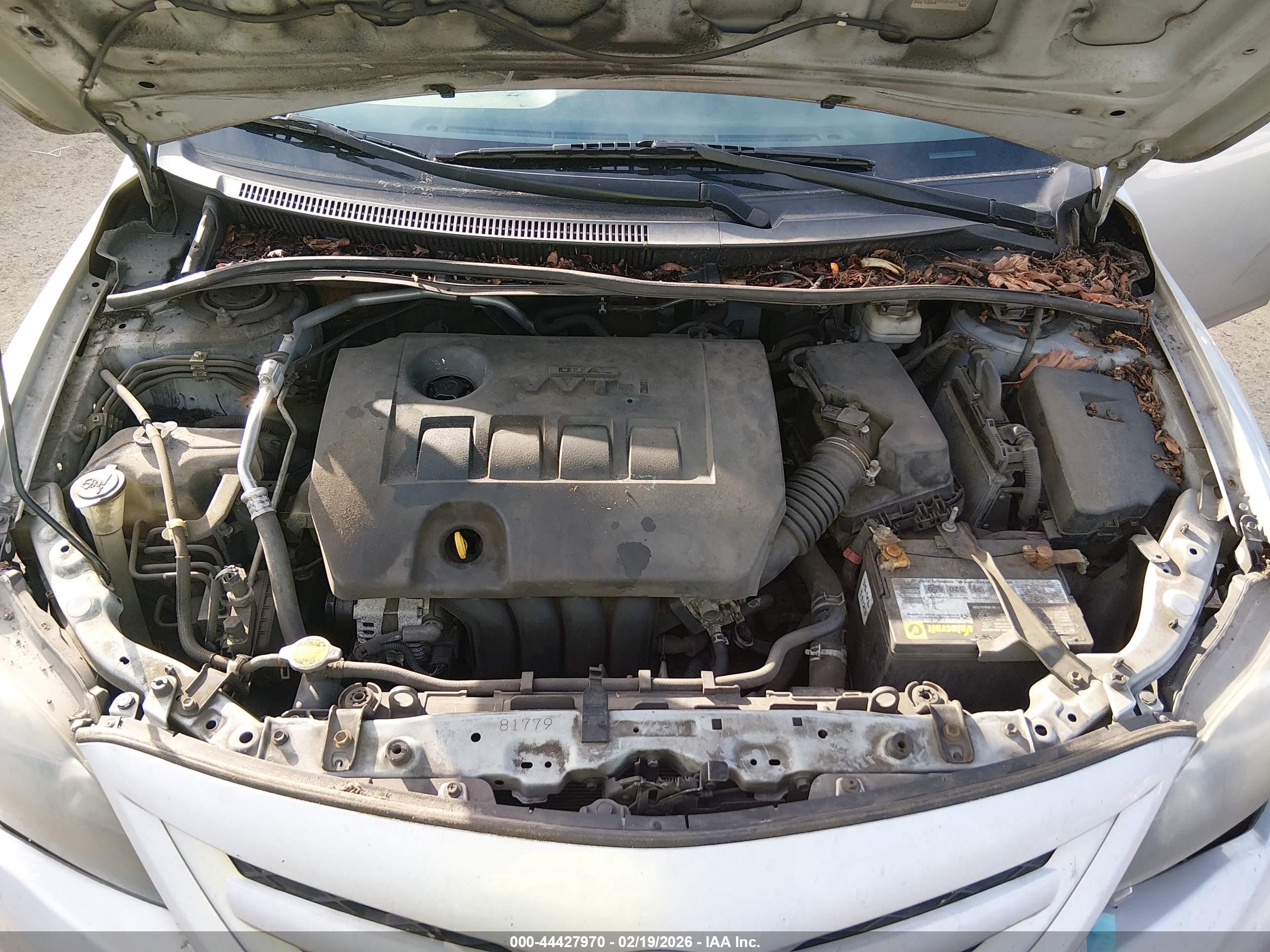 TOYOTA COROLLA image 10