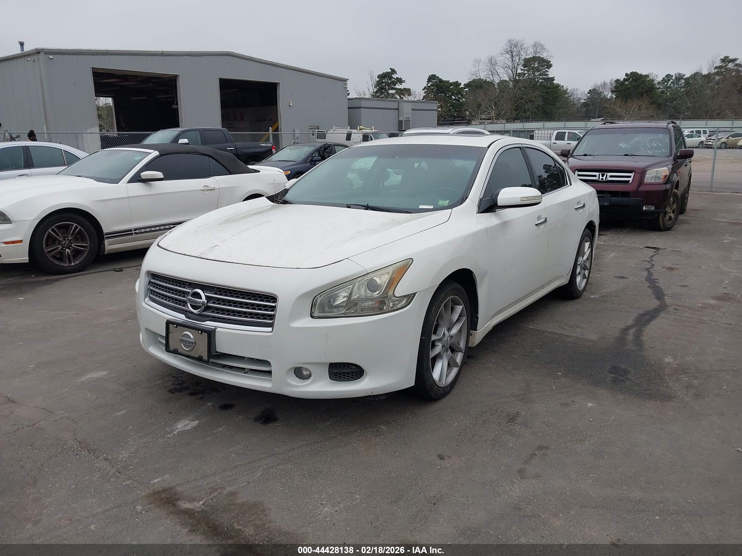 NISSAN MAXIMA image 2