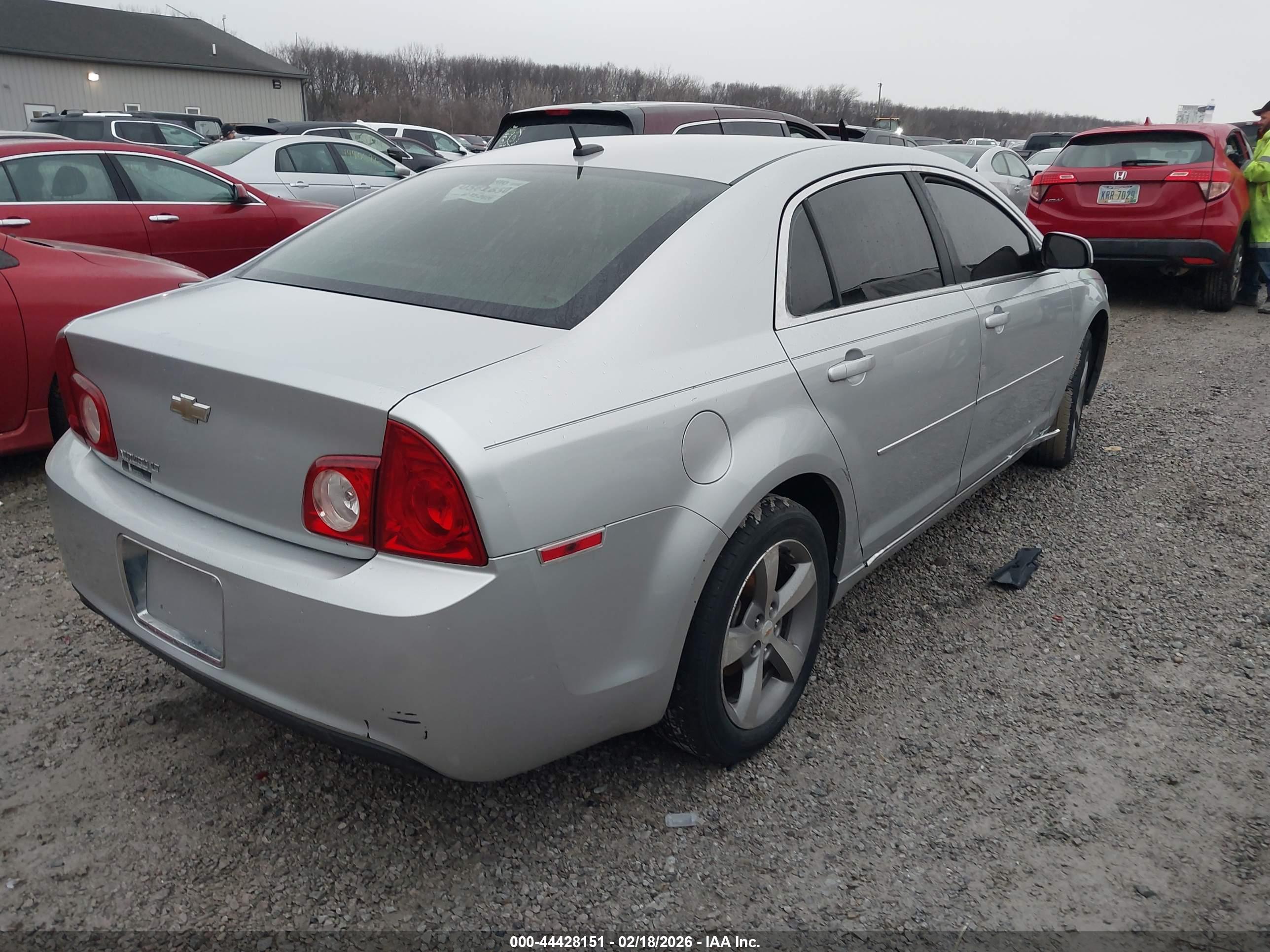 CHEVROLET MALIBU image 4