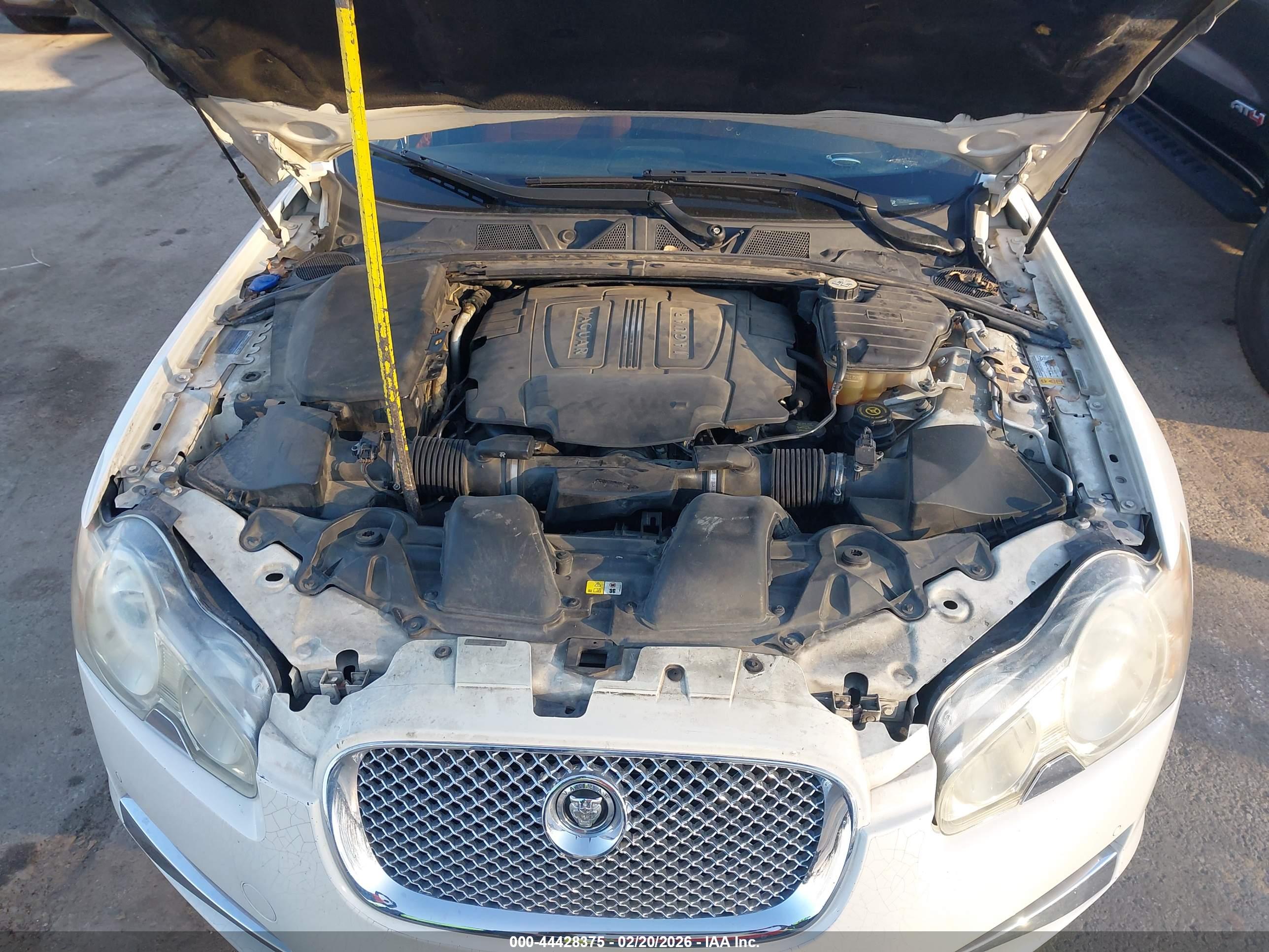 JAGUAR XF image 10