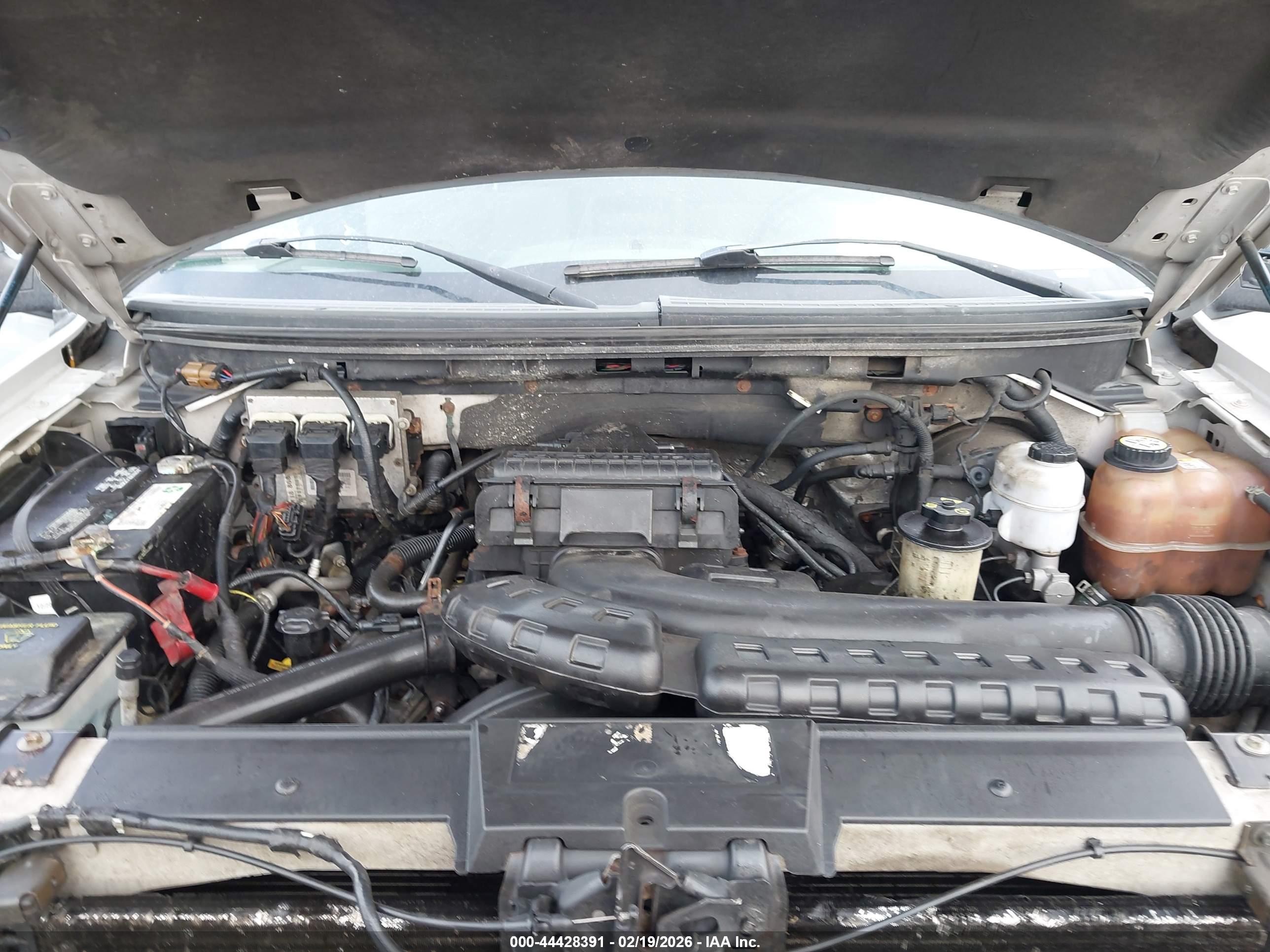 FORD F-150 image 10