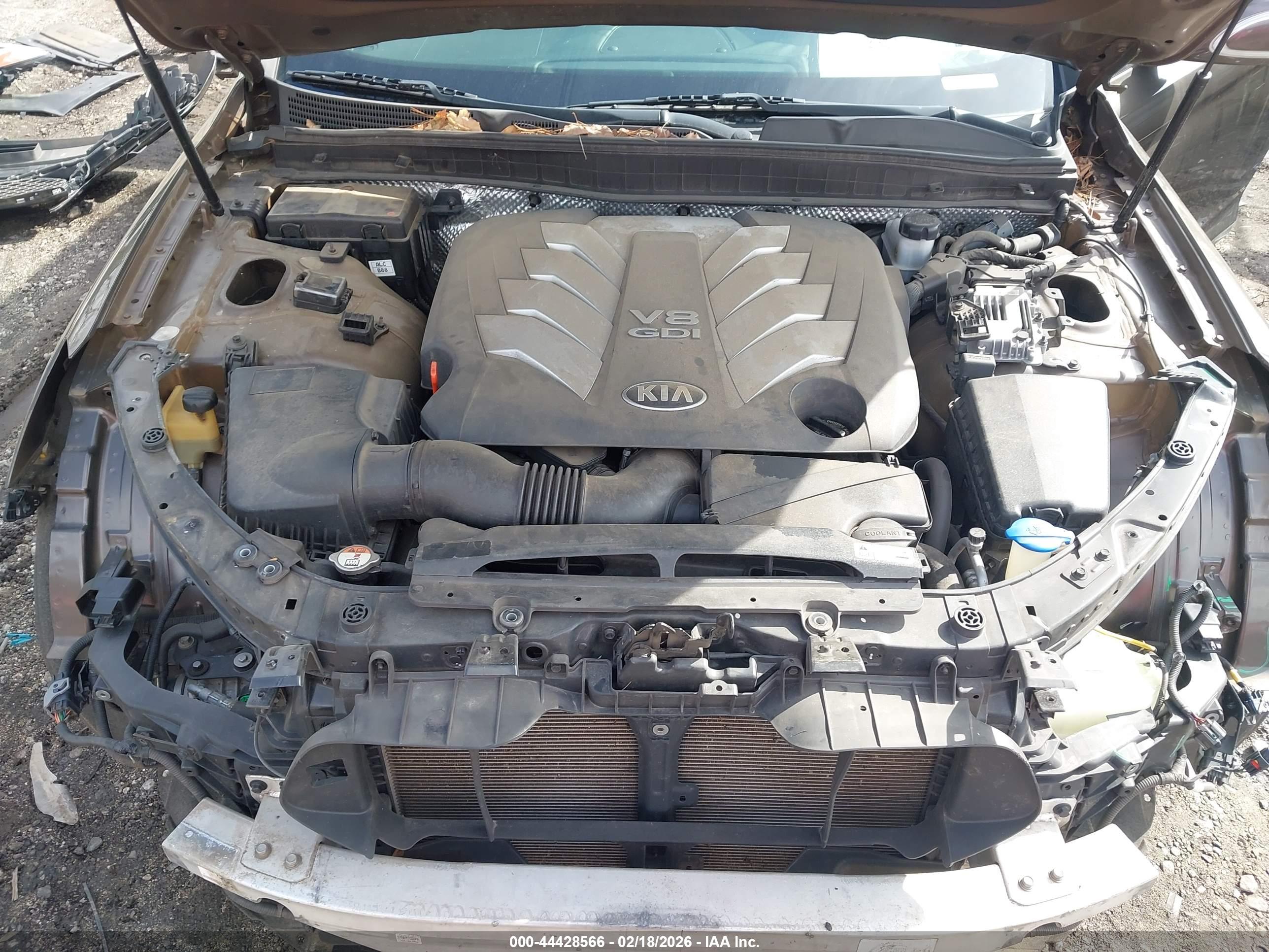 KIA K900 image 10