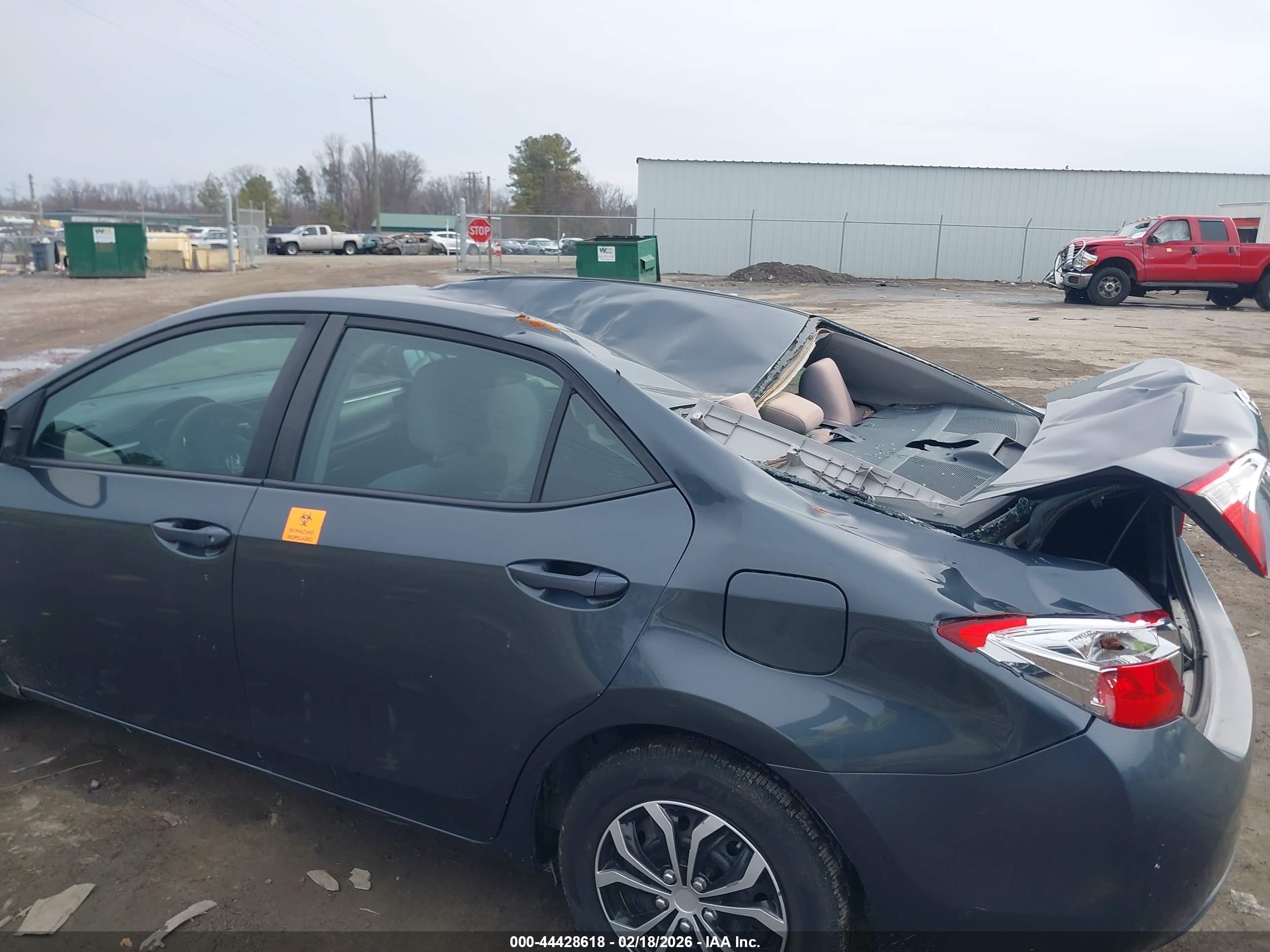 TOYOTA COROLLA image 6