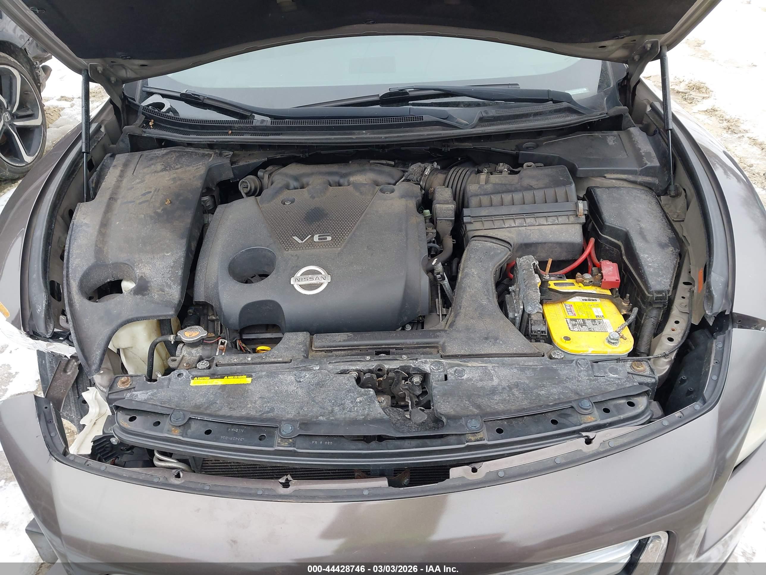 NISSAN MAXIMA image 10