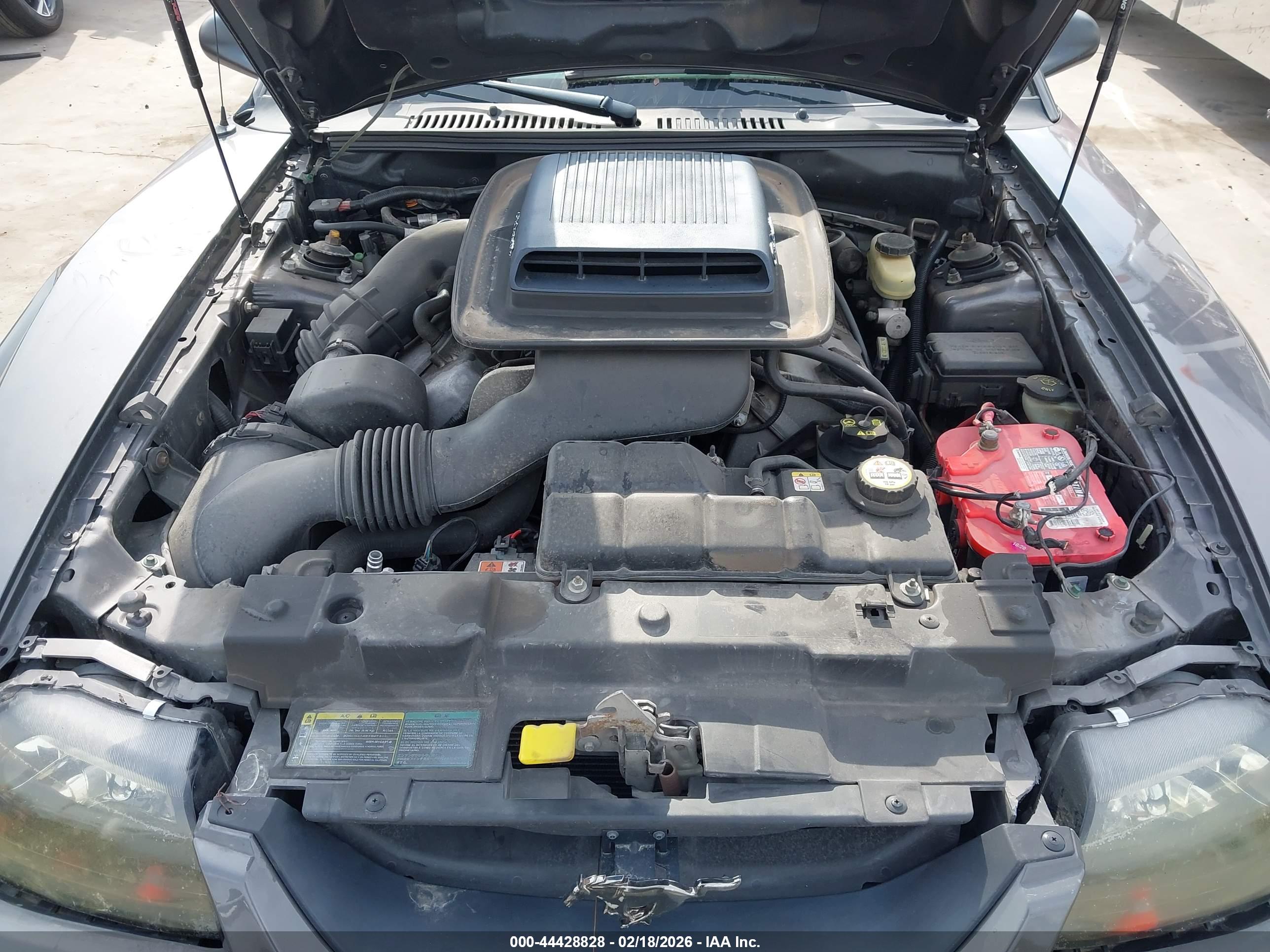 FORD MUSTANG image 10