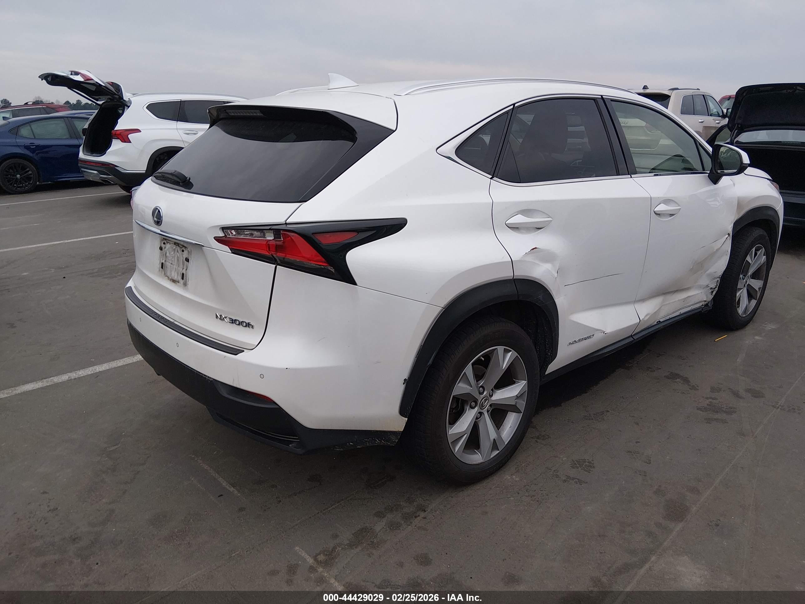 LEXUS NX image 4