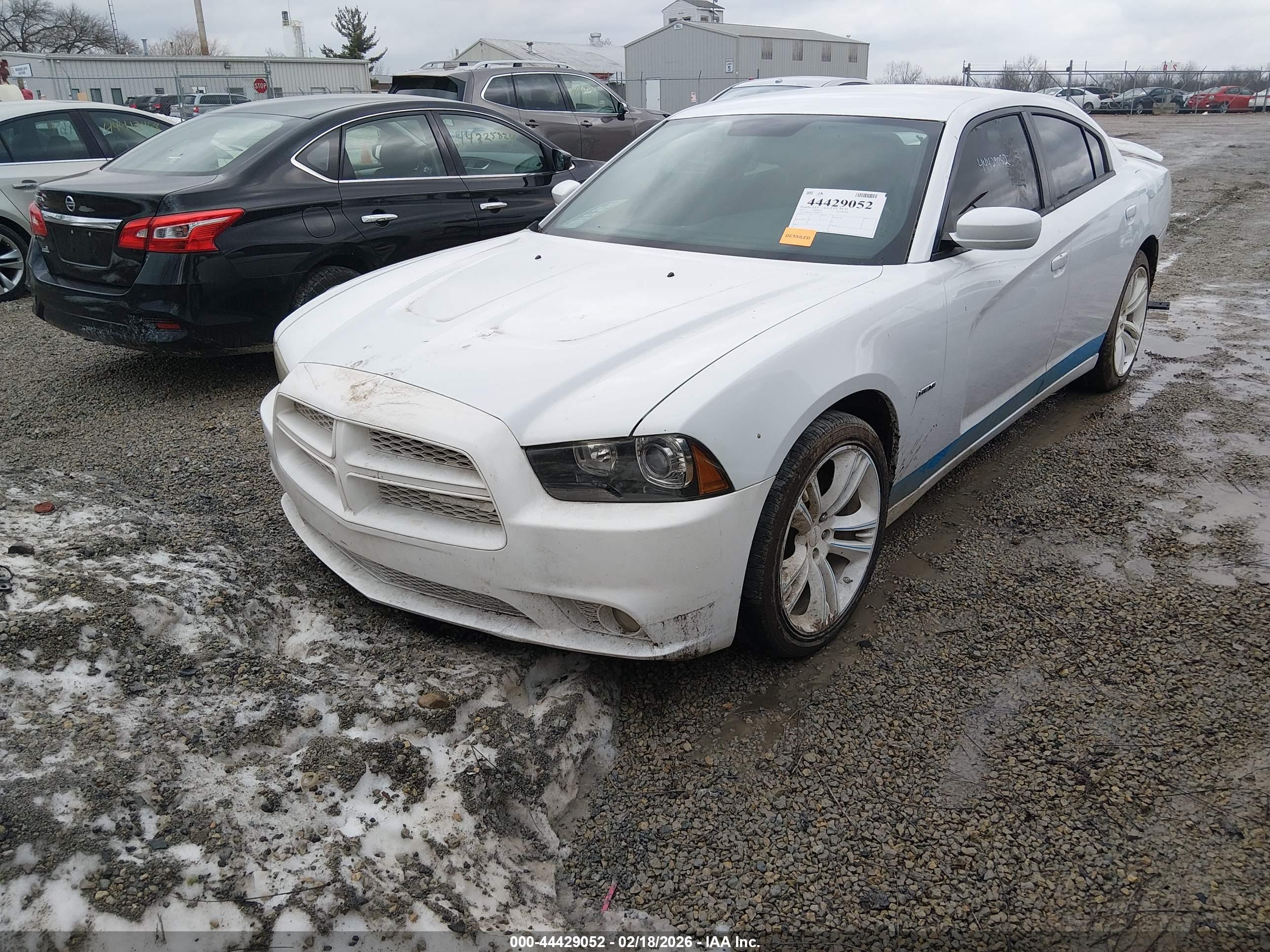DODGE CHARGER image 2