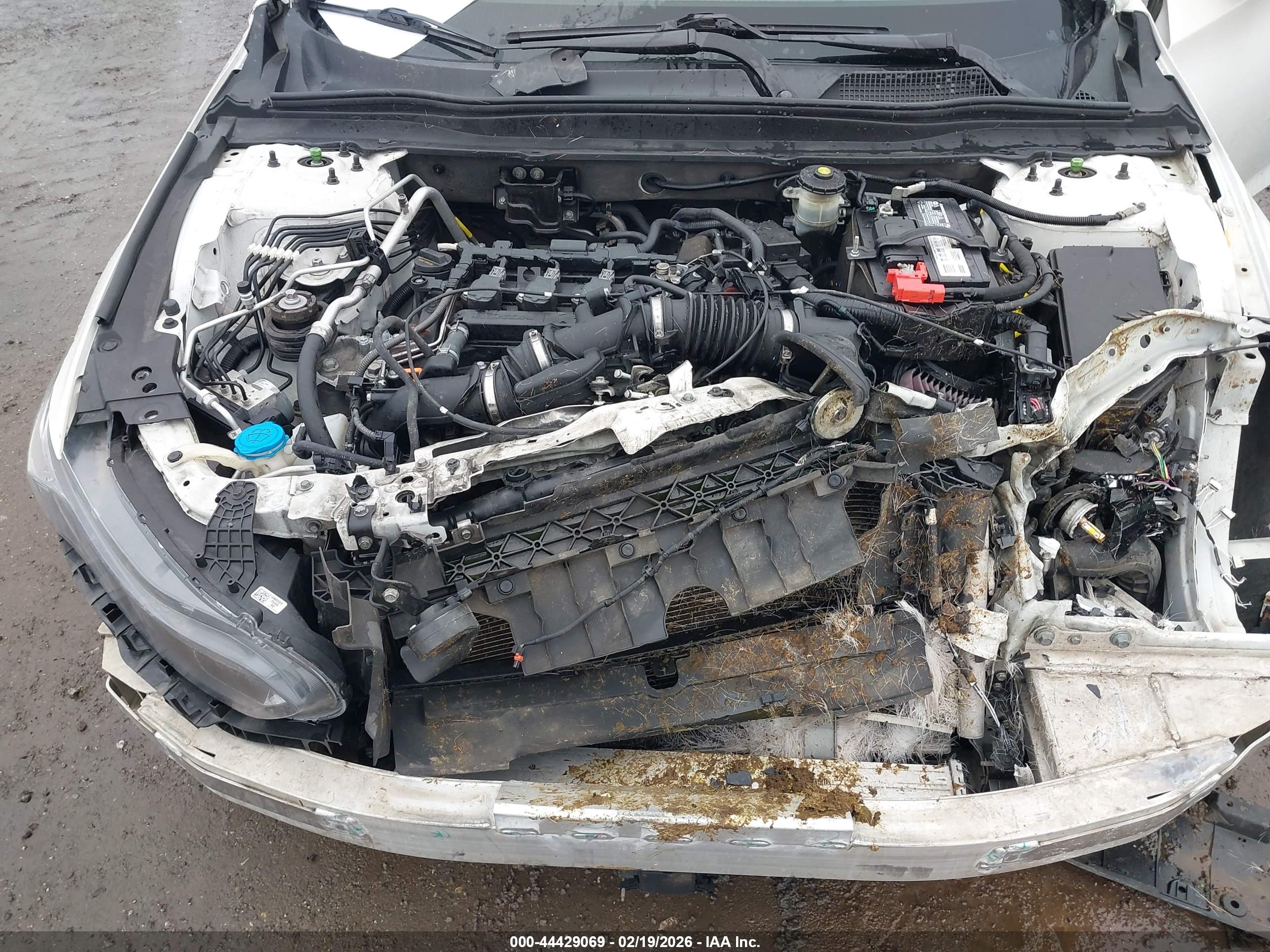 HONDA ACCORD image 10