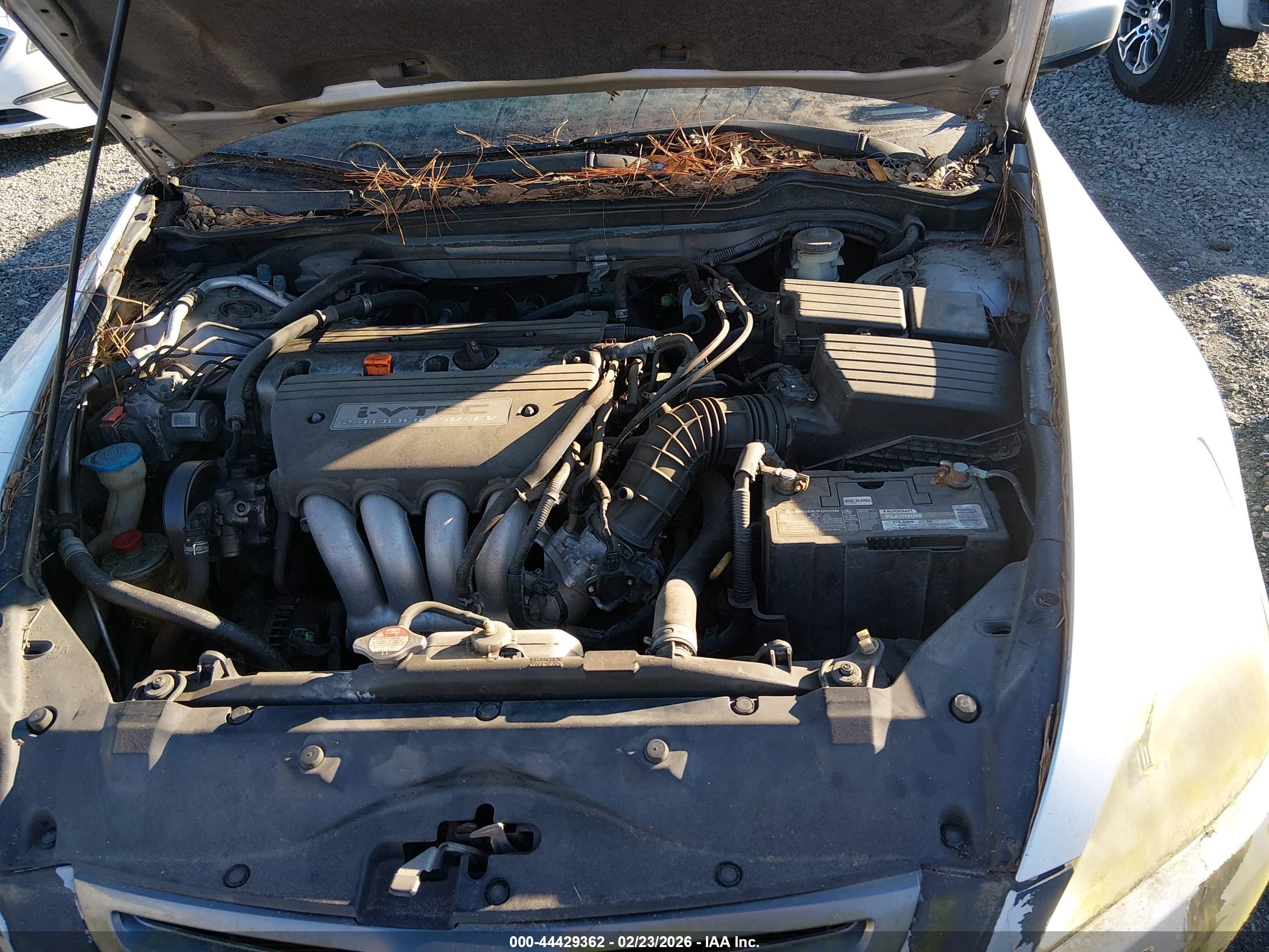 HONDA ACCORD image 10
