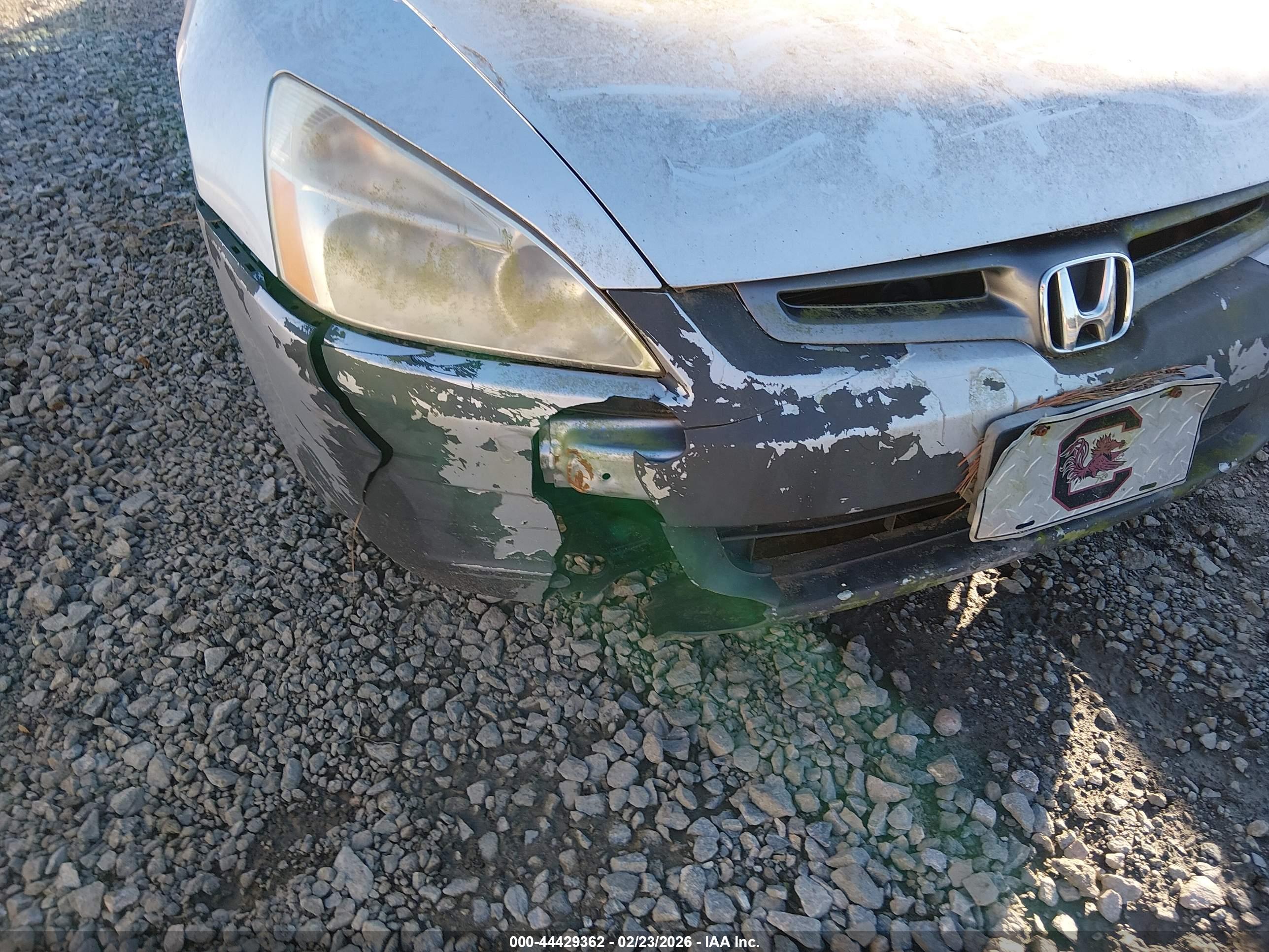 HONDA ACCORD image 6