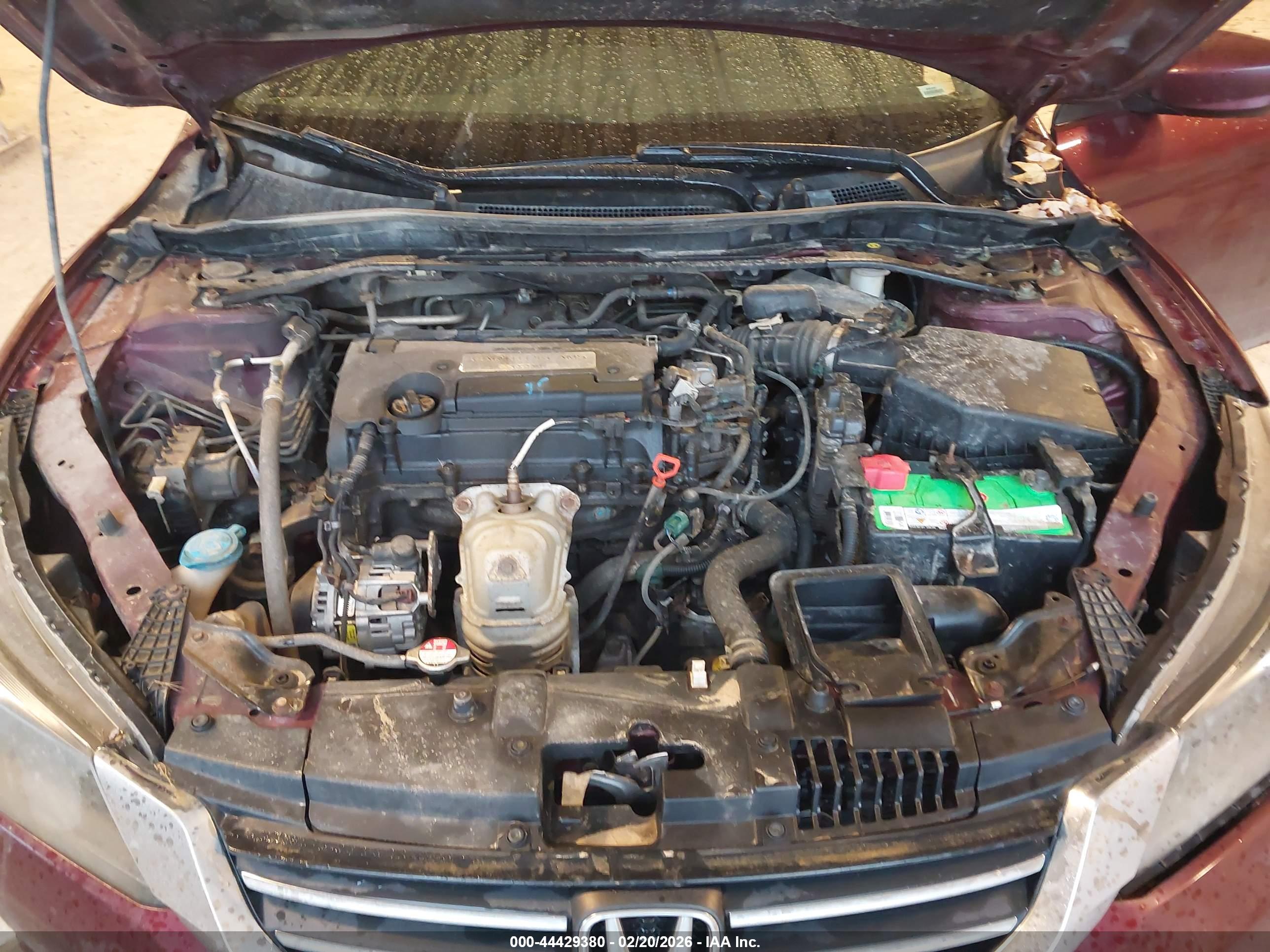 HONDA ACCORD image 10