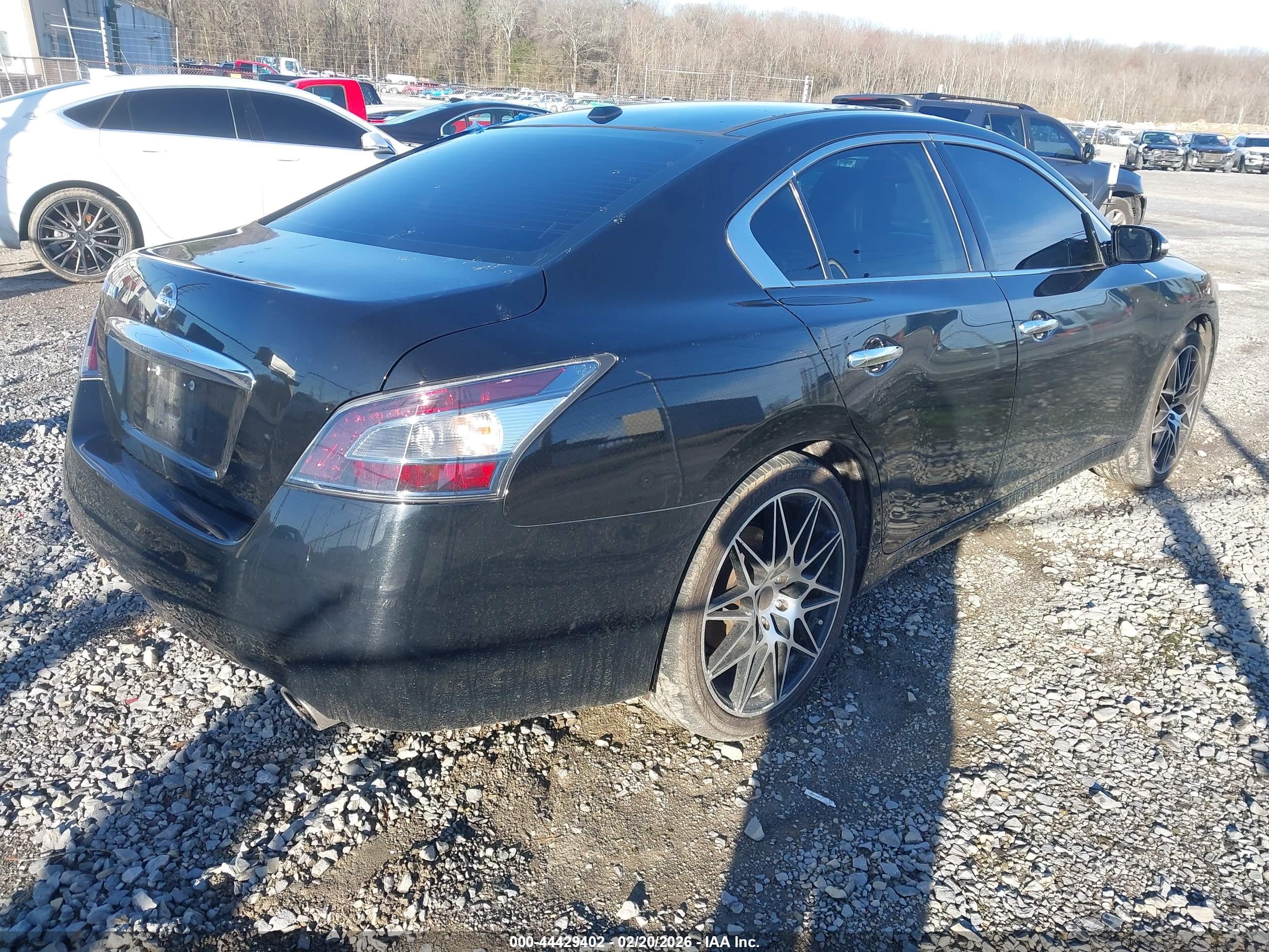NISSAN MAXIMA image 4